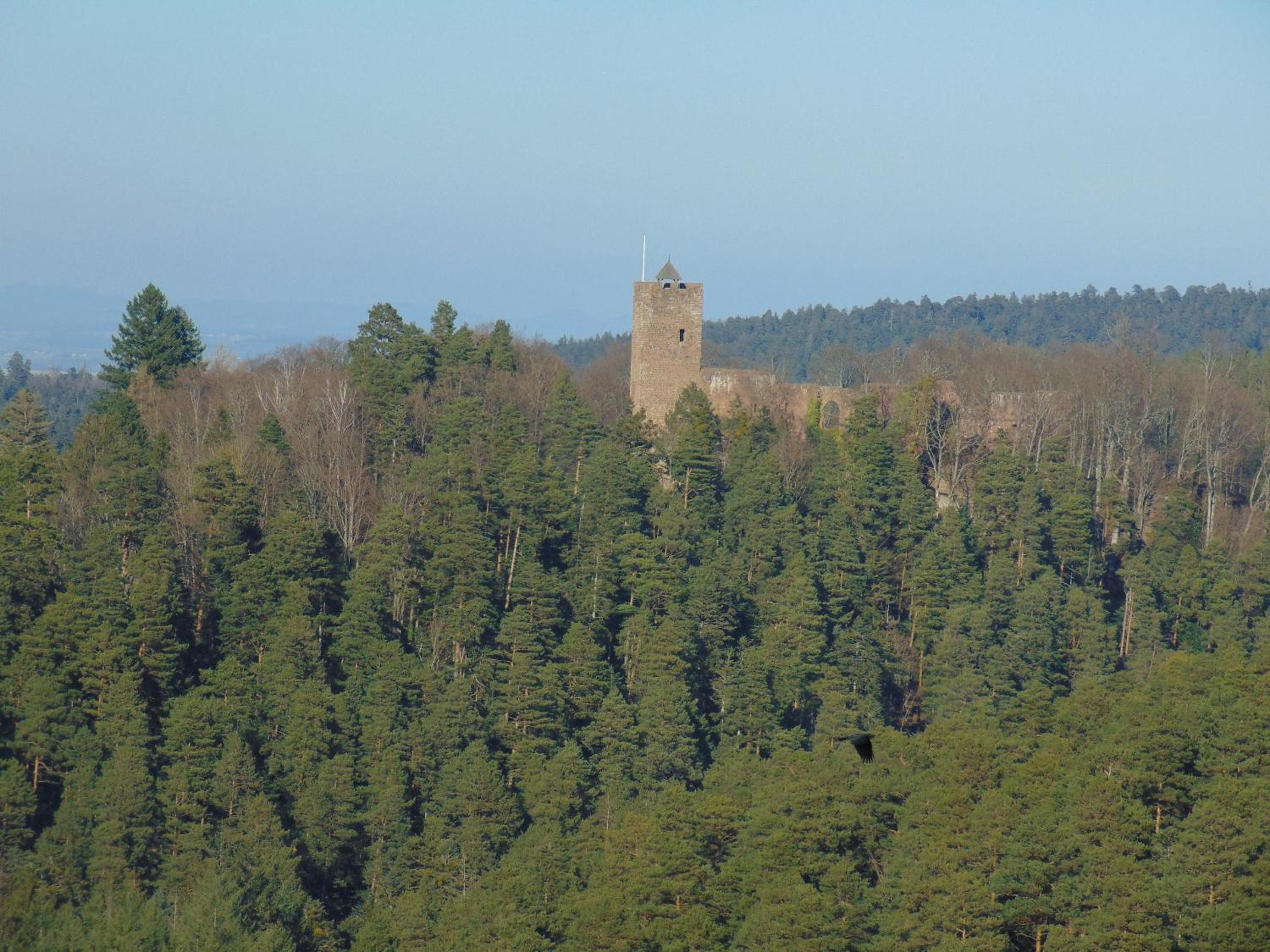 clos Saint François Spa- gite avec sauna Alsace