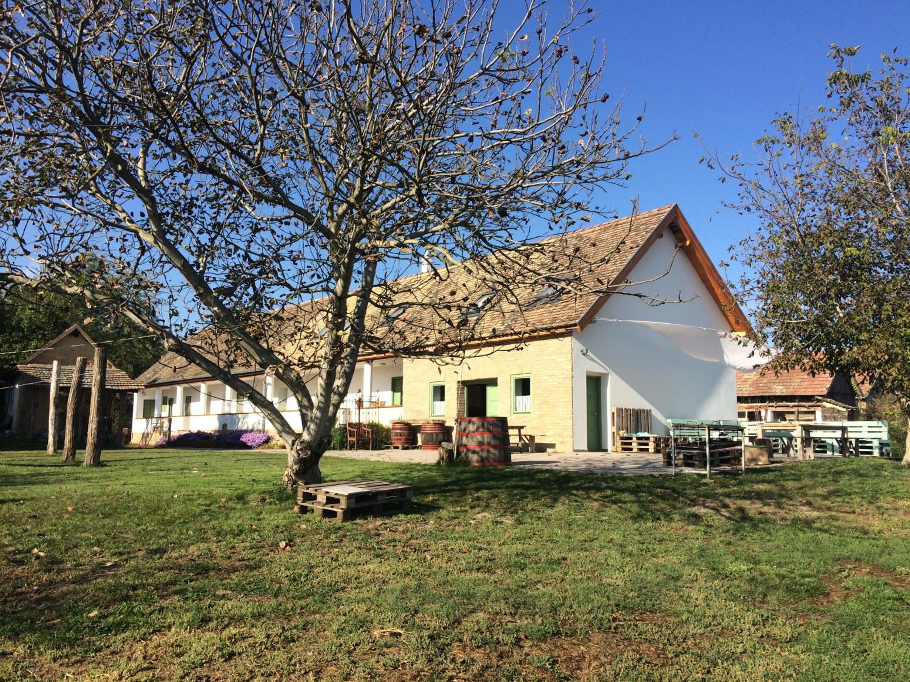 Likaskalács view 5