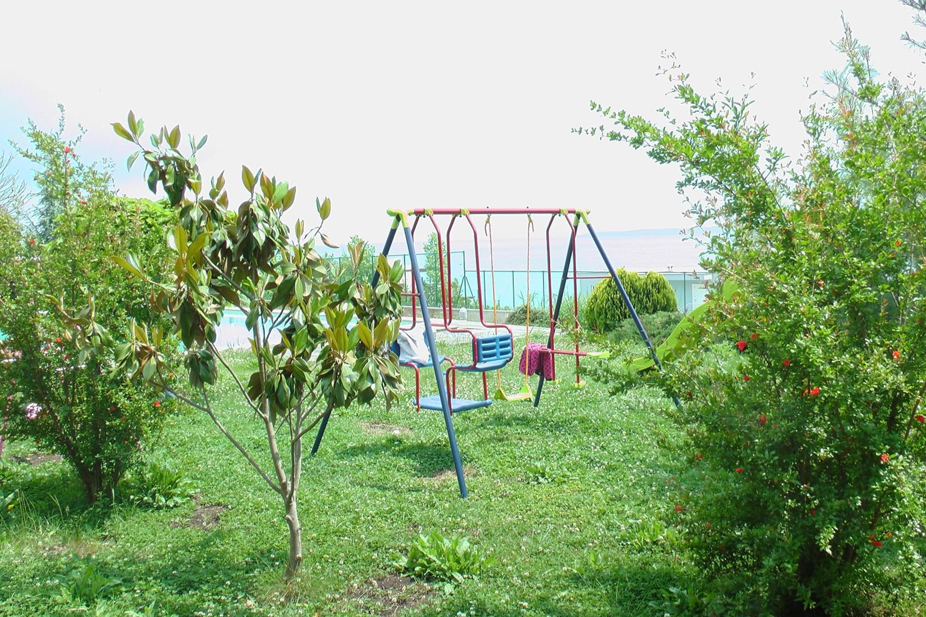 Photo 41
