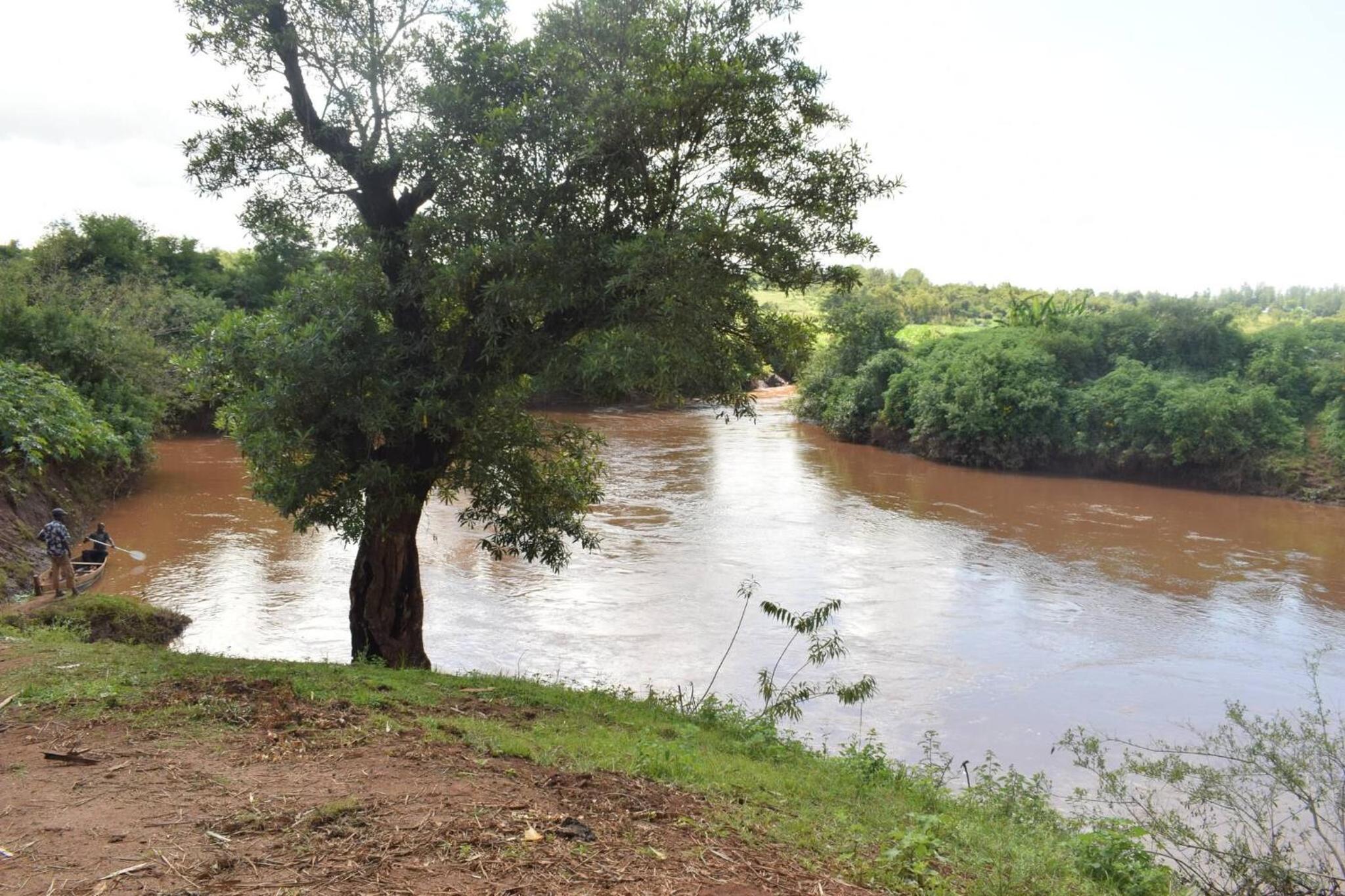 Sagana RiversideRustic Charm nestled along the peaceful banks of Sagana River