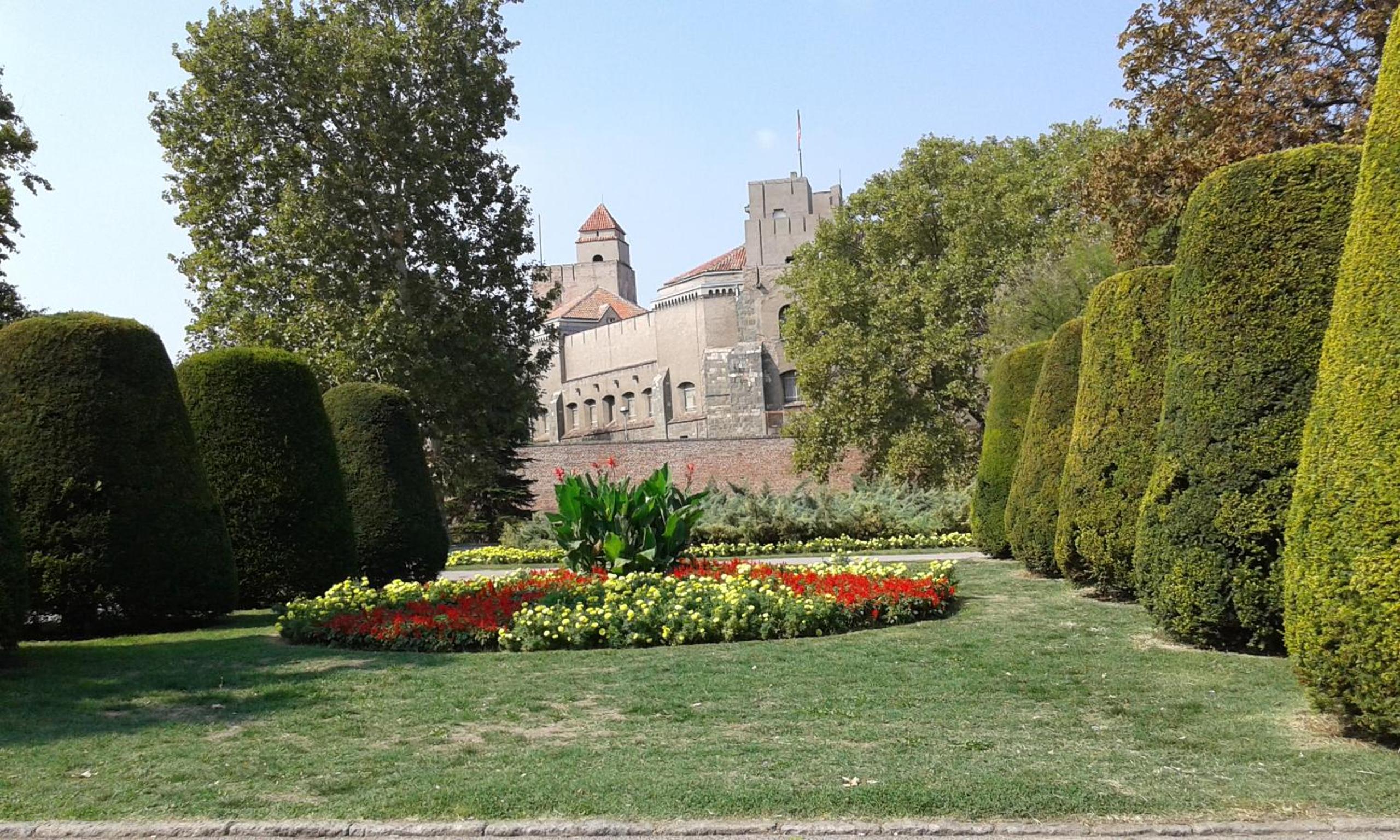 Photo 23