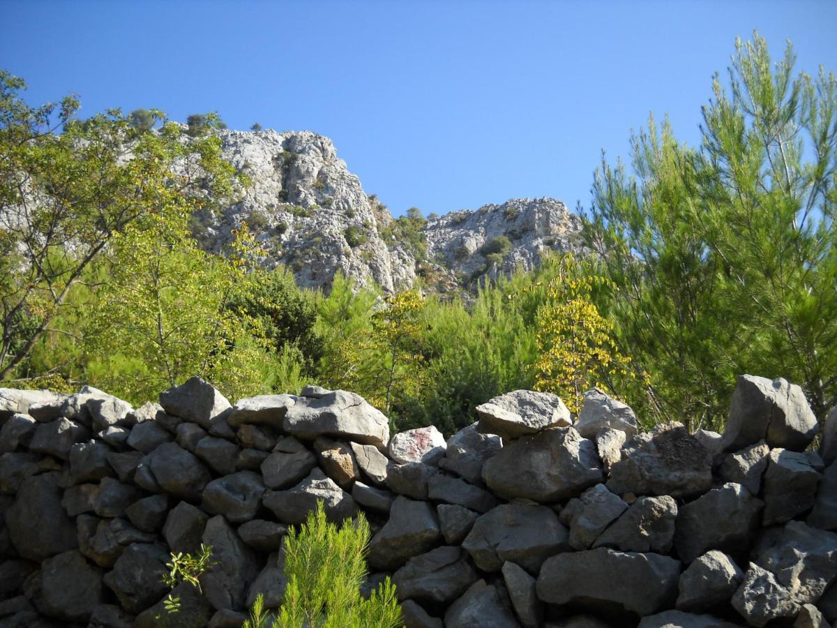 Photo 38