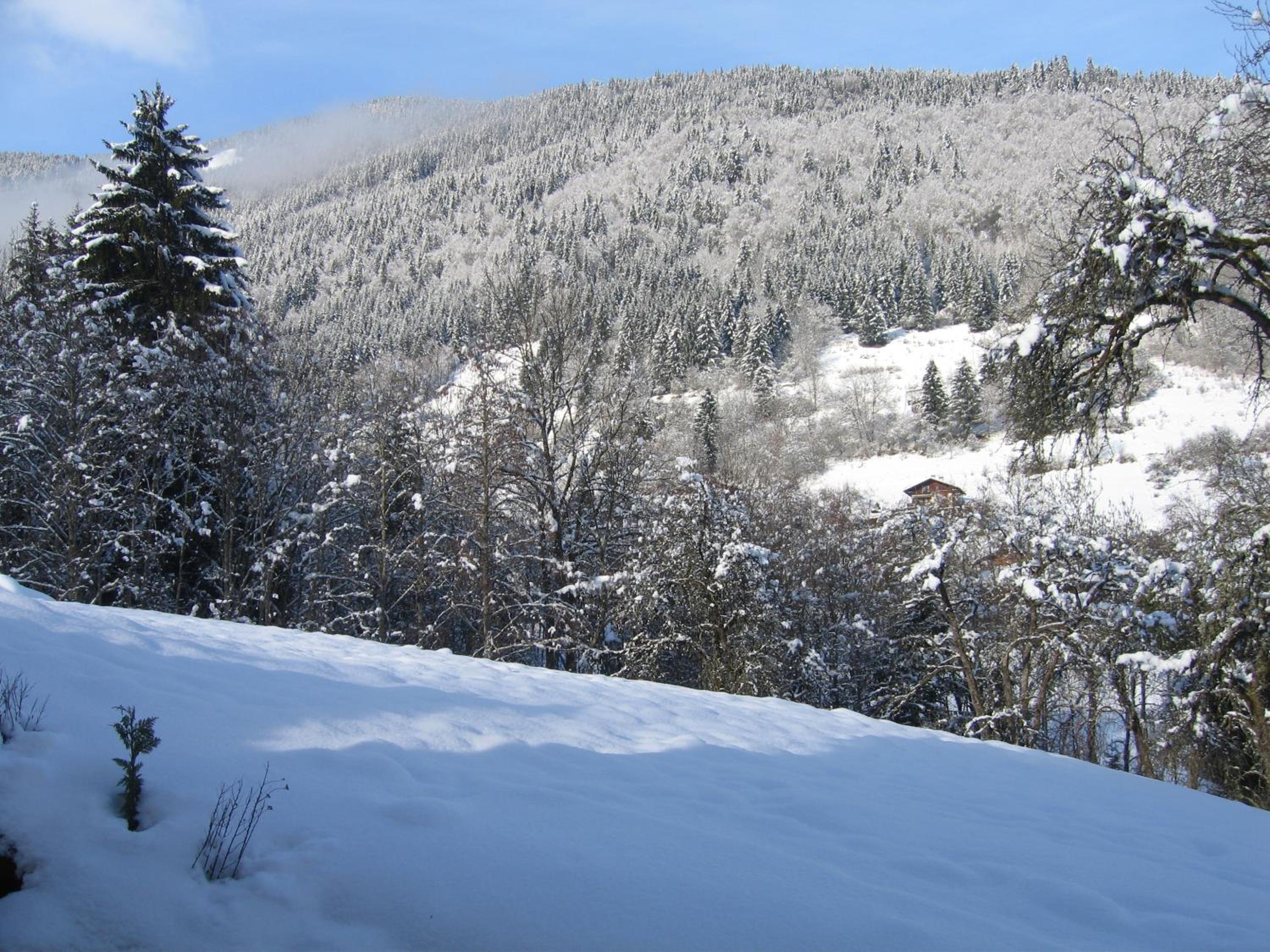 Appartement Borne photo 5