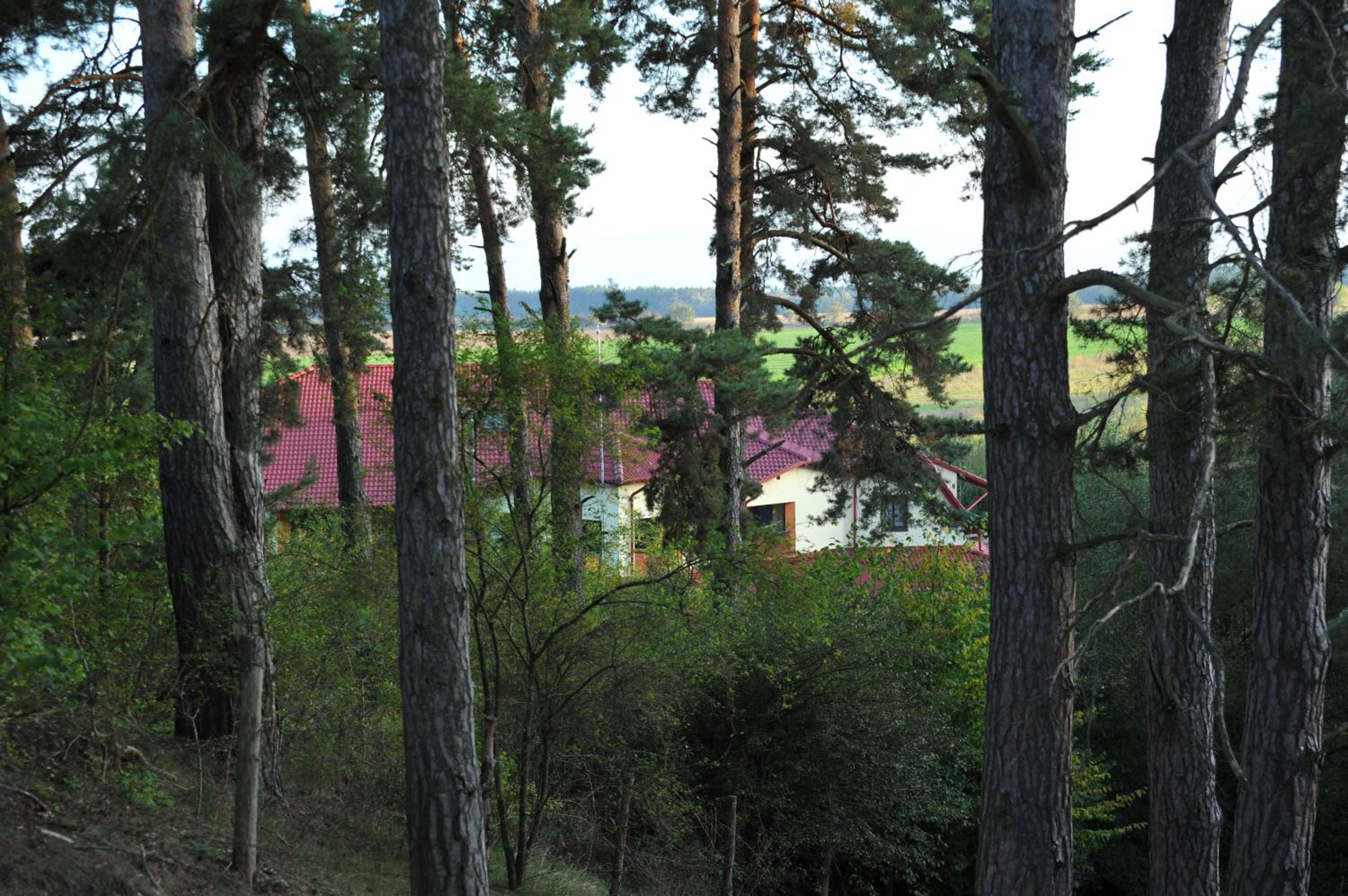 Rasarit de Soare view 3