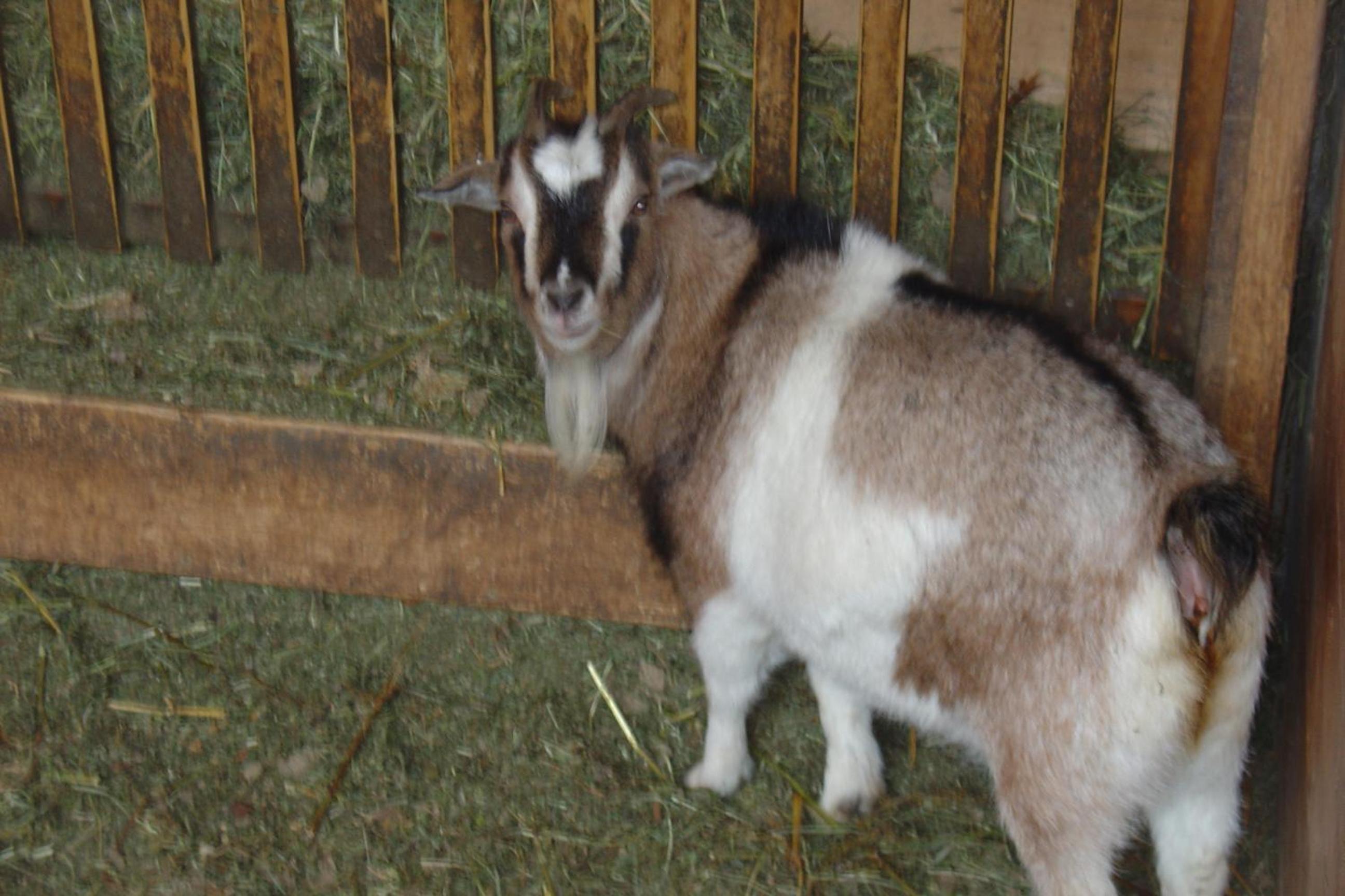 Photo 30