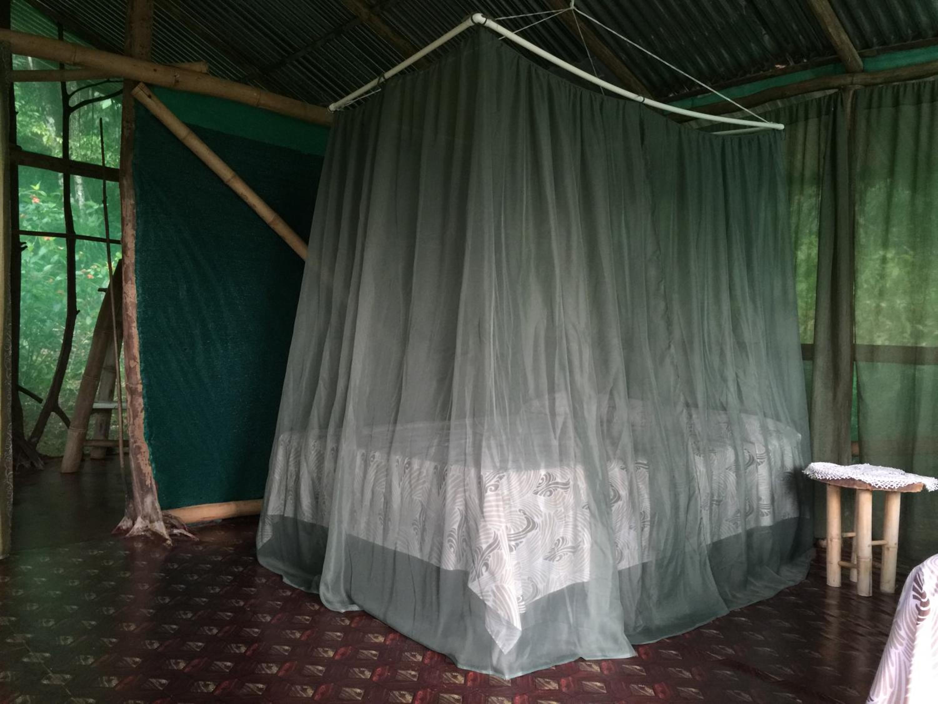 Isla Violin Eco-Lodge