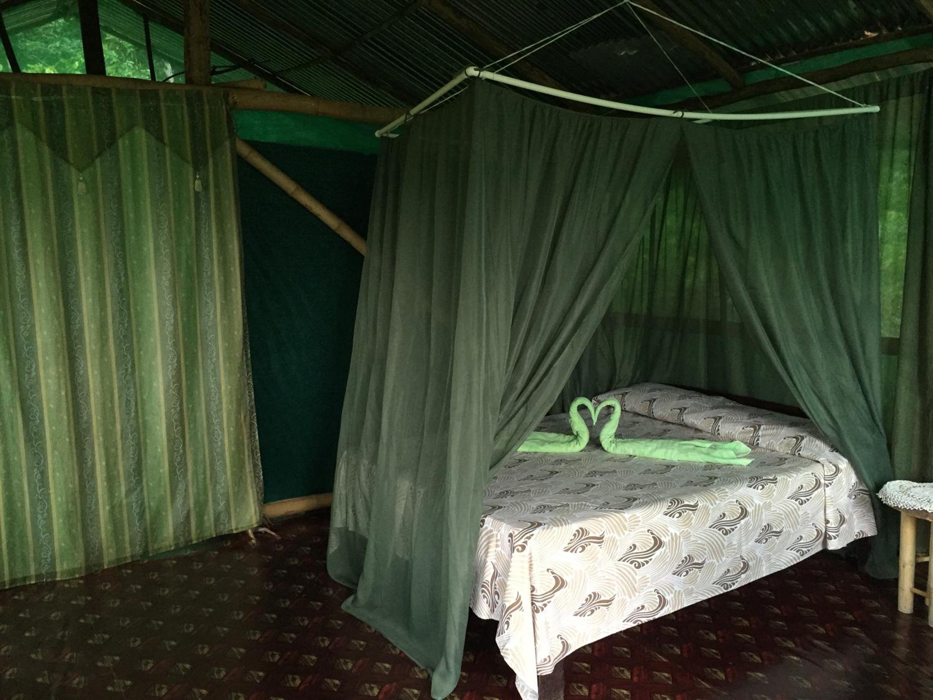 Isla Violin Eco-Lodge