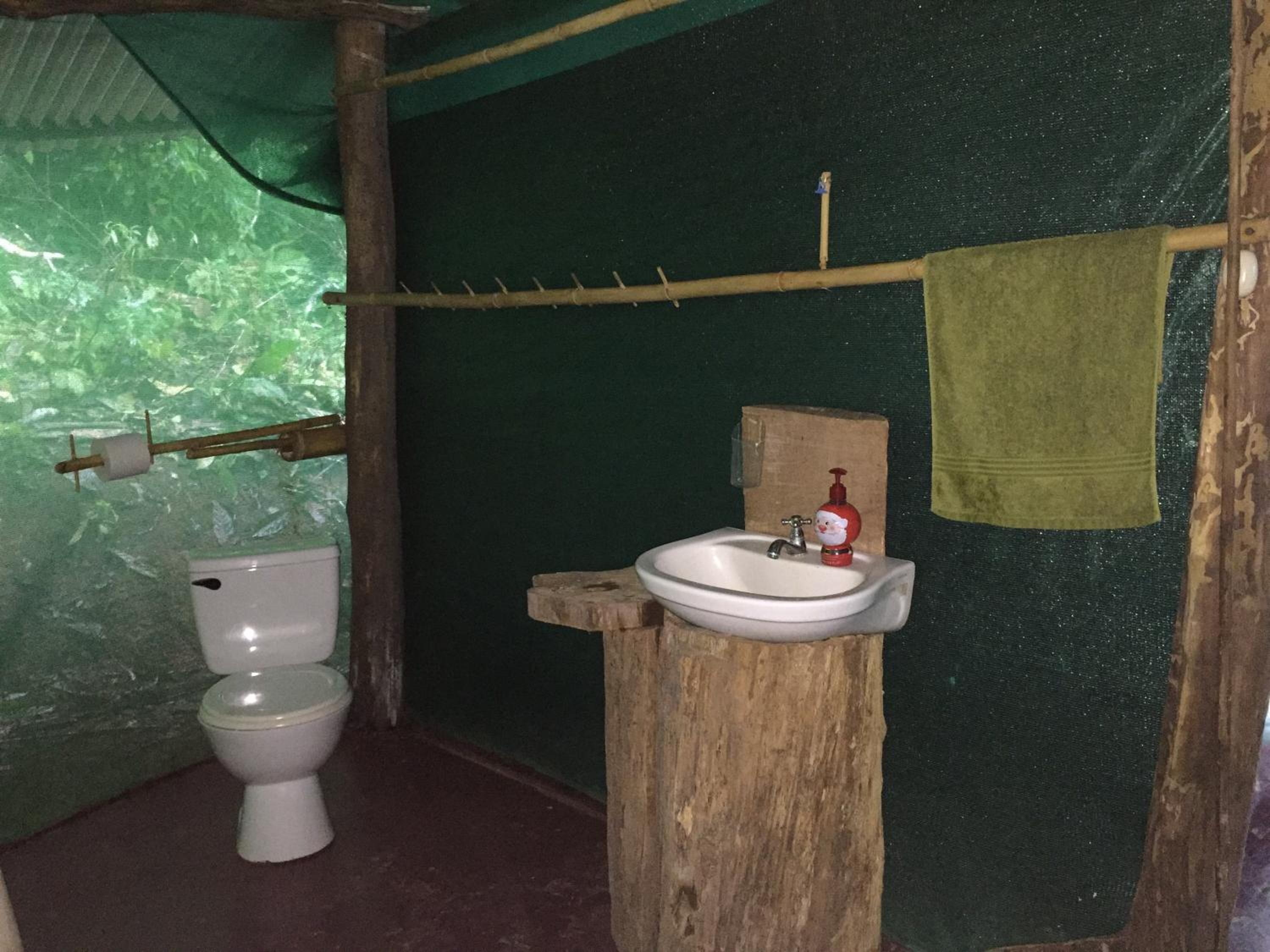 Isla Violin Eco-Lodge