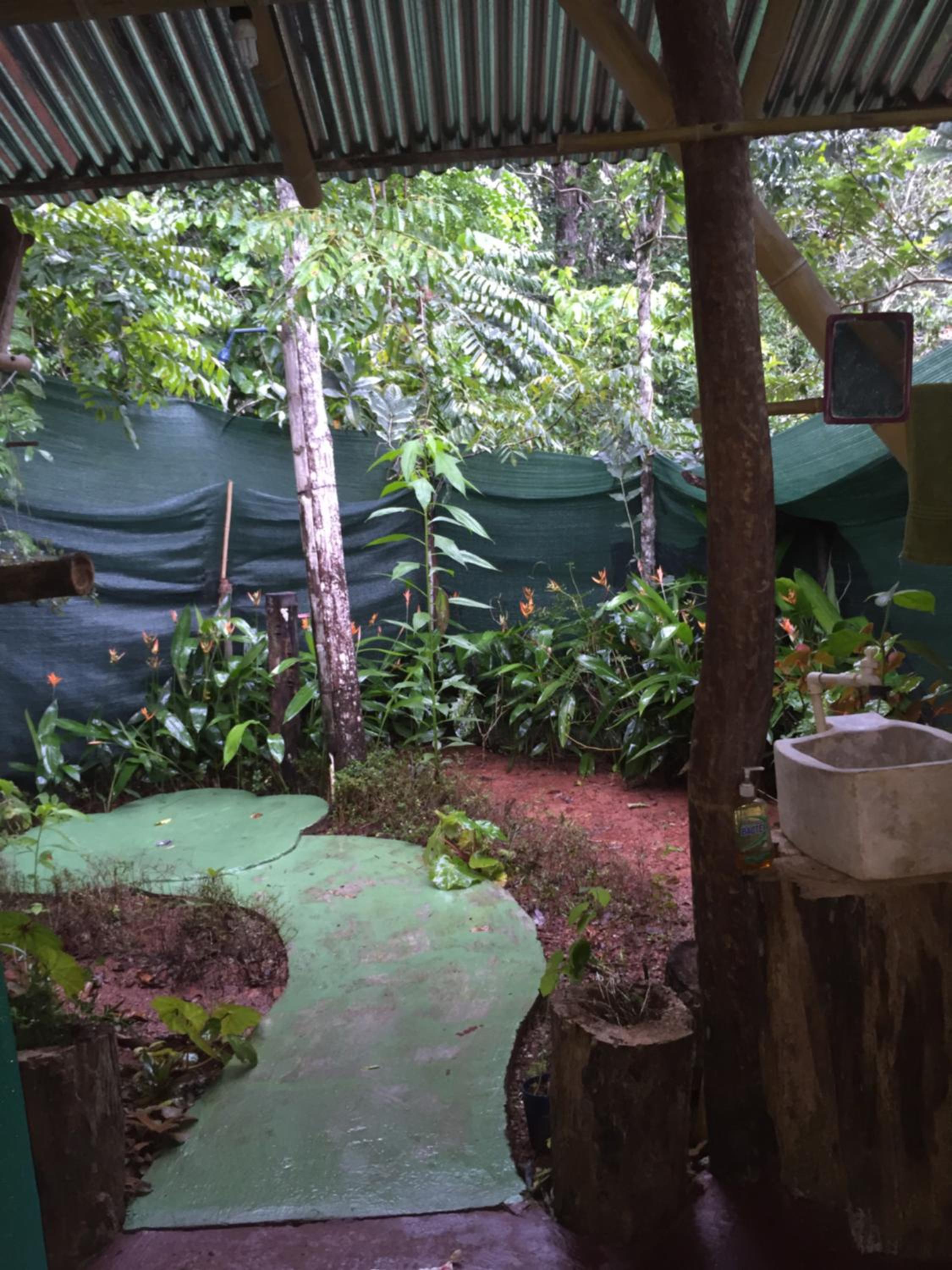 Isla Violin Eco-Lodge