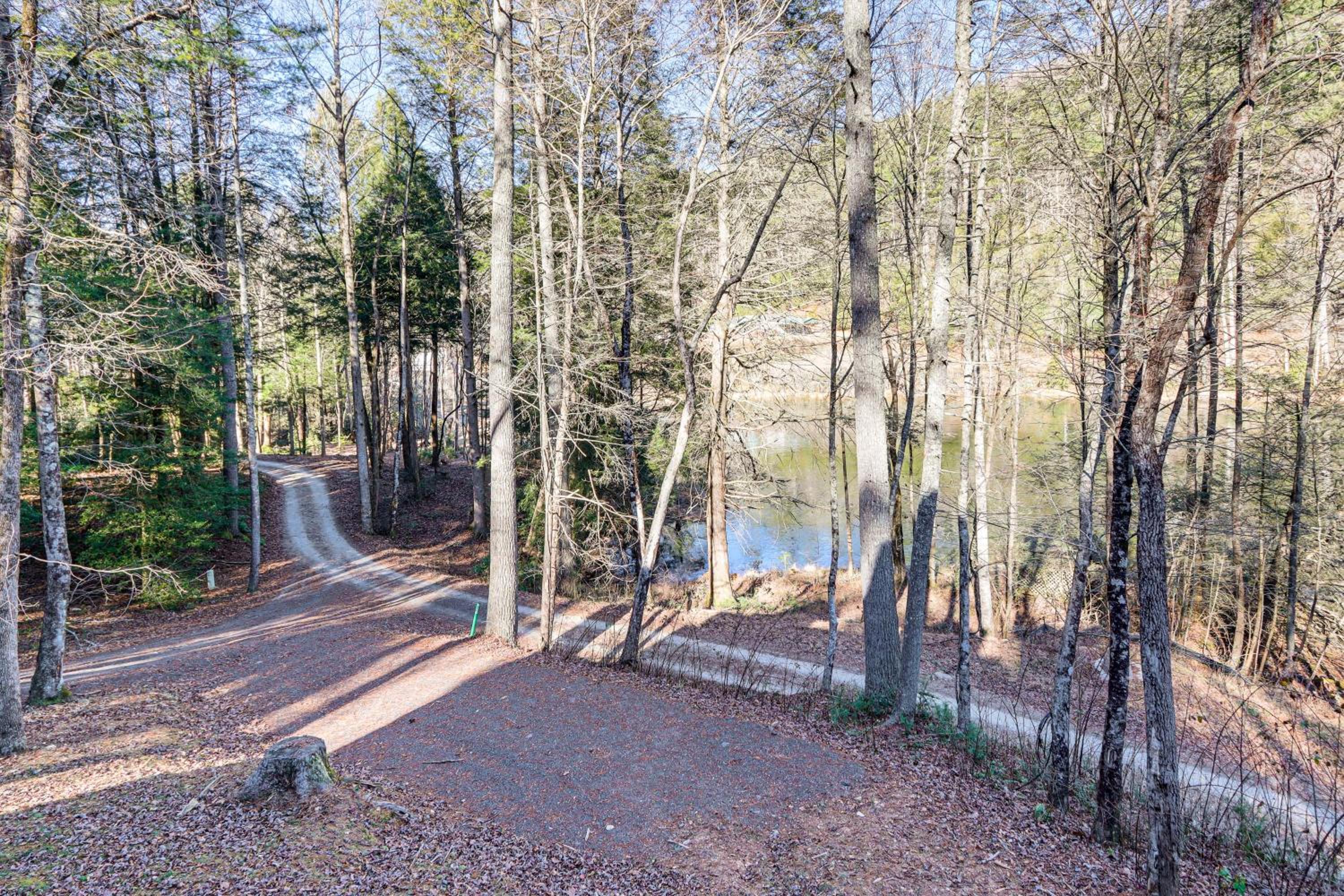 Newly Refreshed! Suches Cabin with Deck, Fire Pit