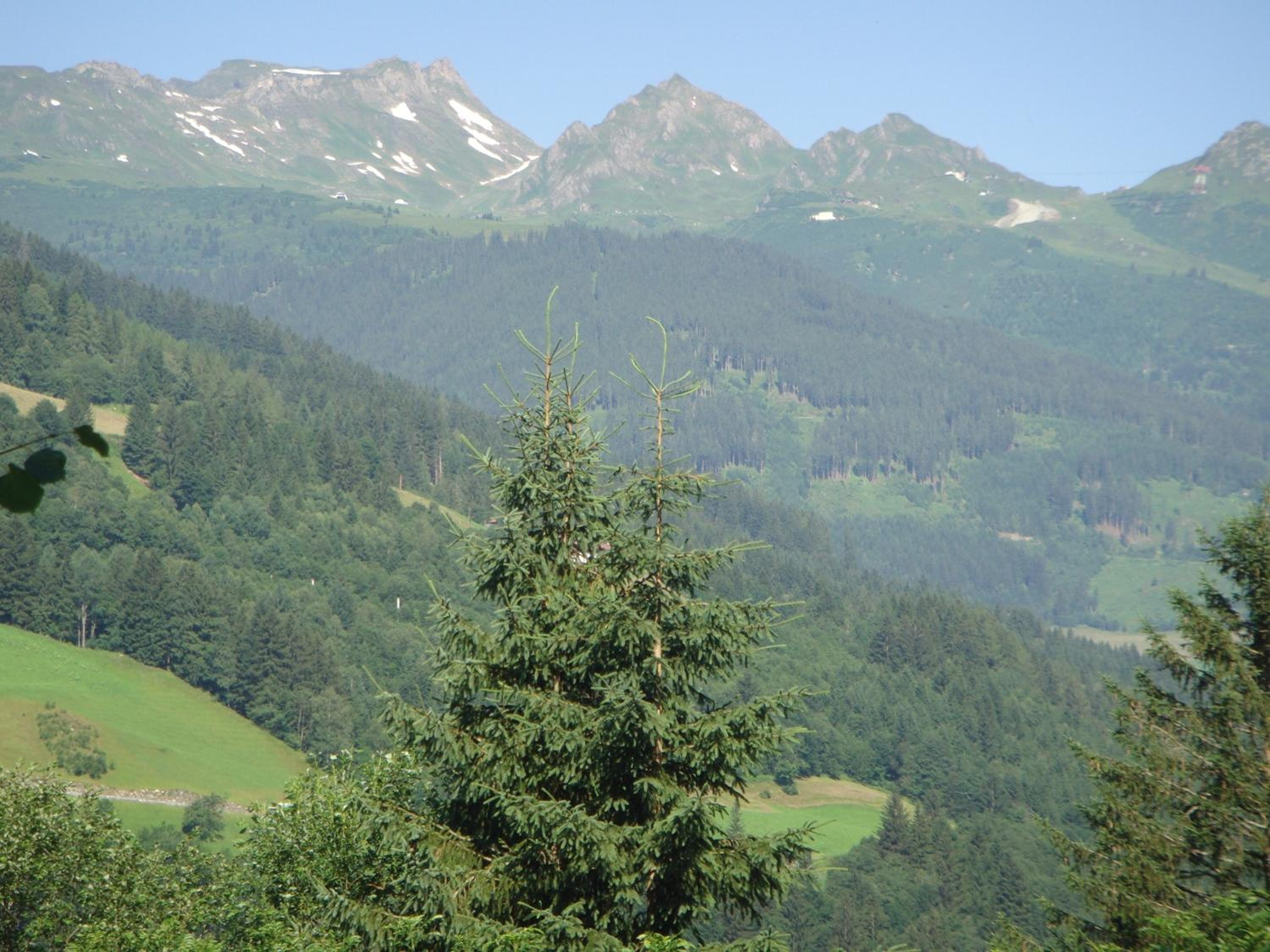 Ferienhaus Höllbacher