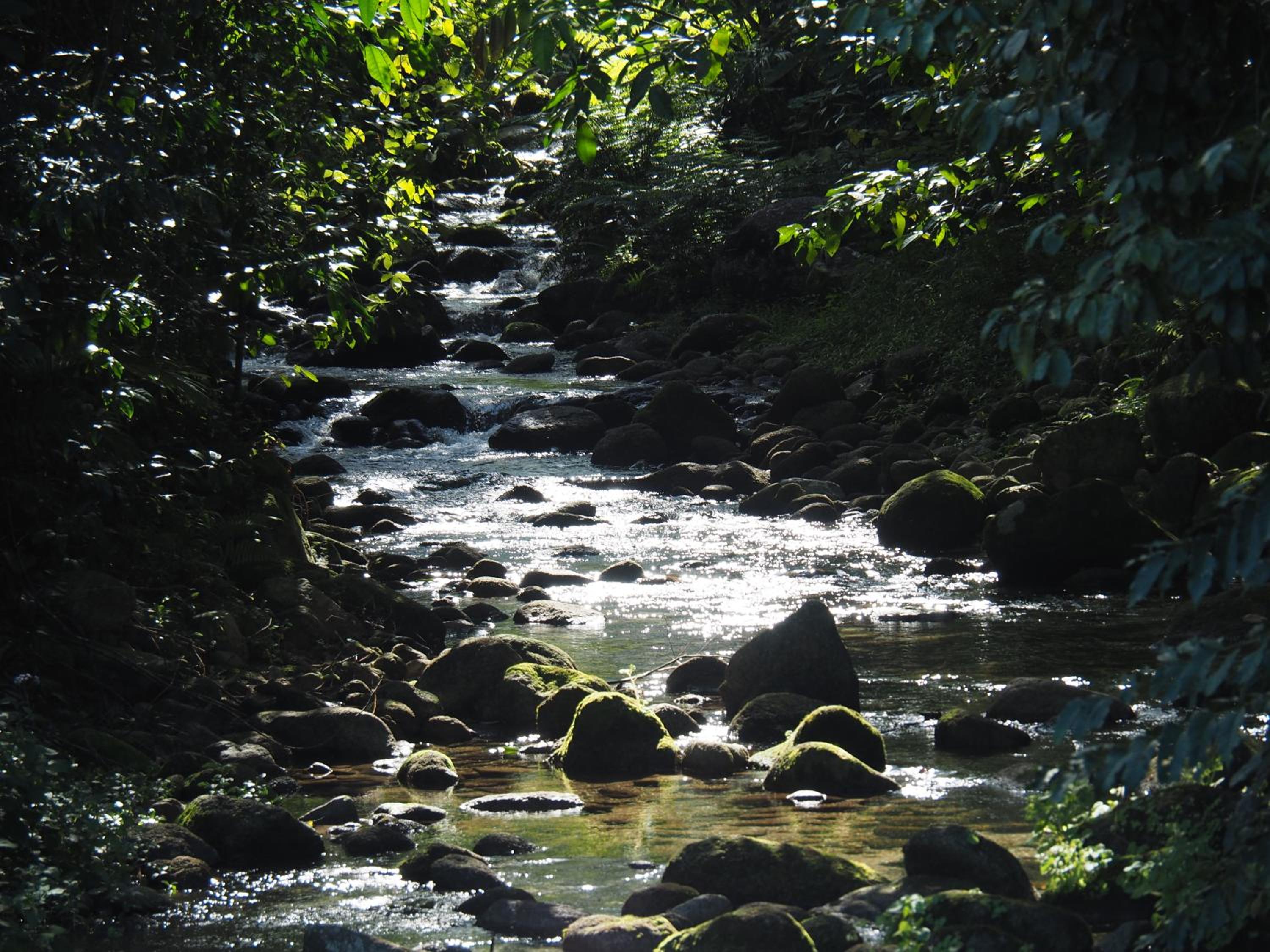 Babinda Quarters