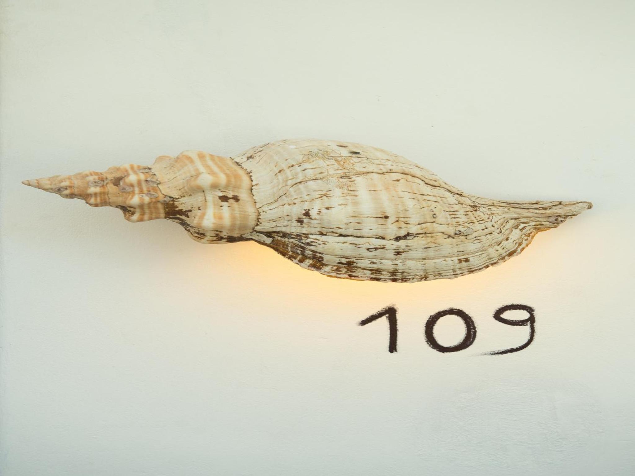 Villas HM Palapas del Mar - Property Image 71