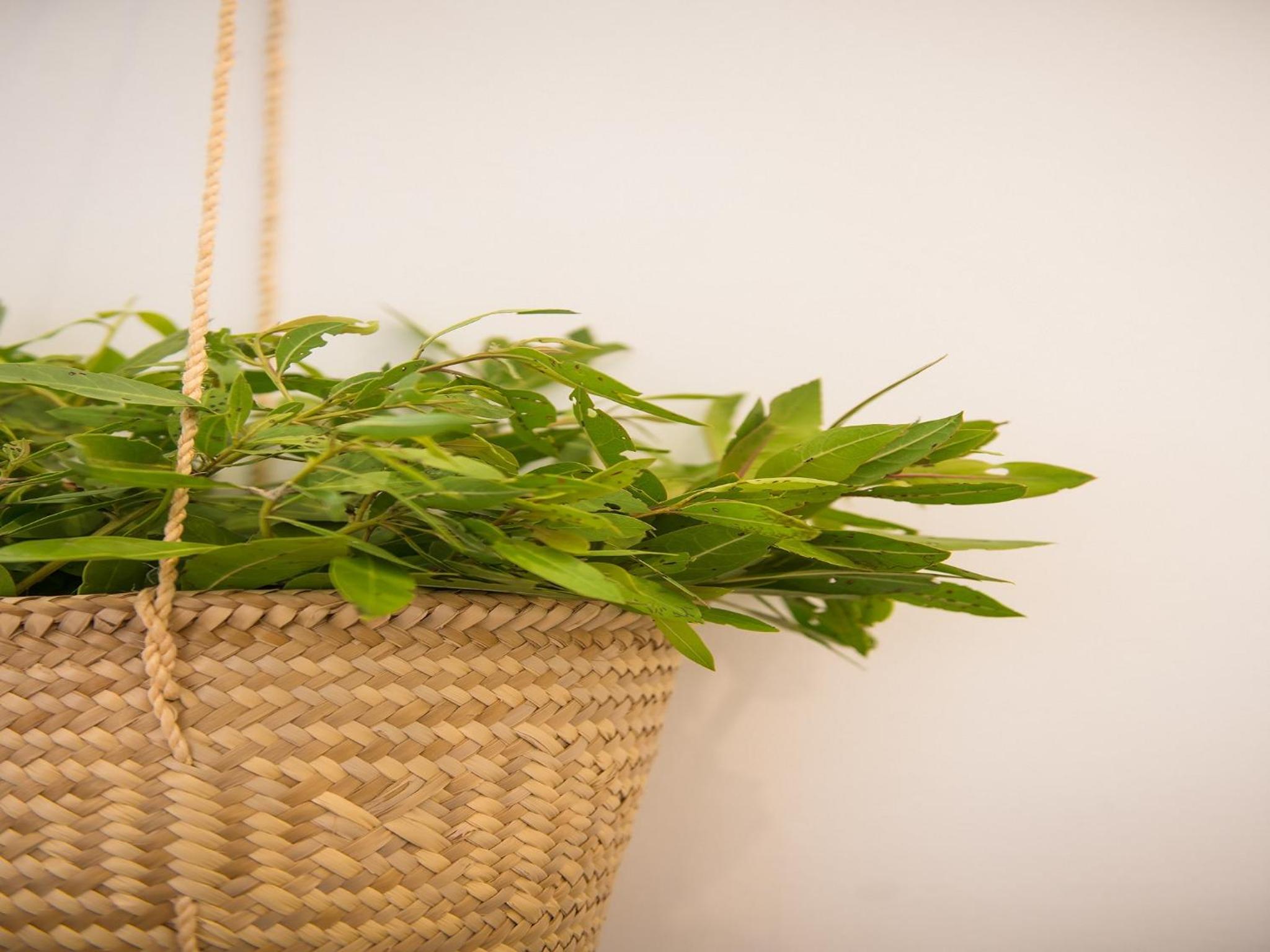 Villas HM Palapas del Mar - Property Image 44