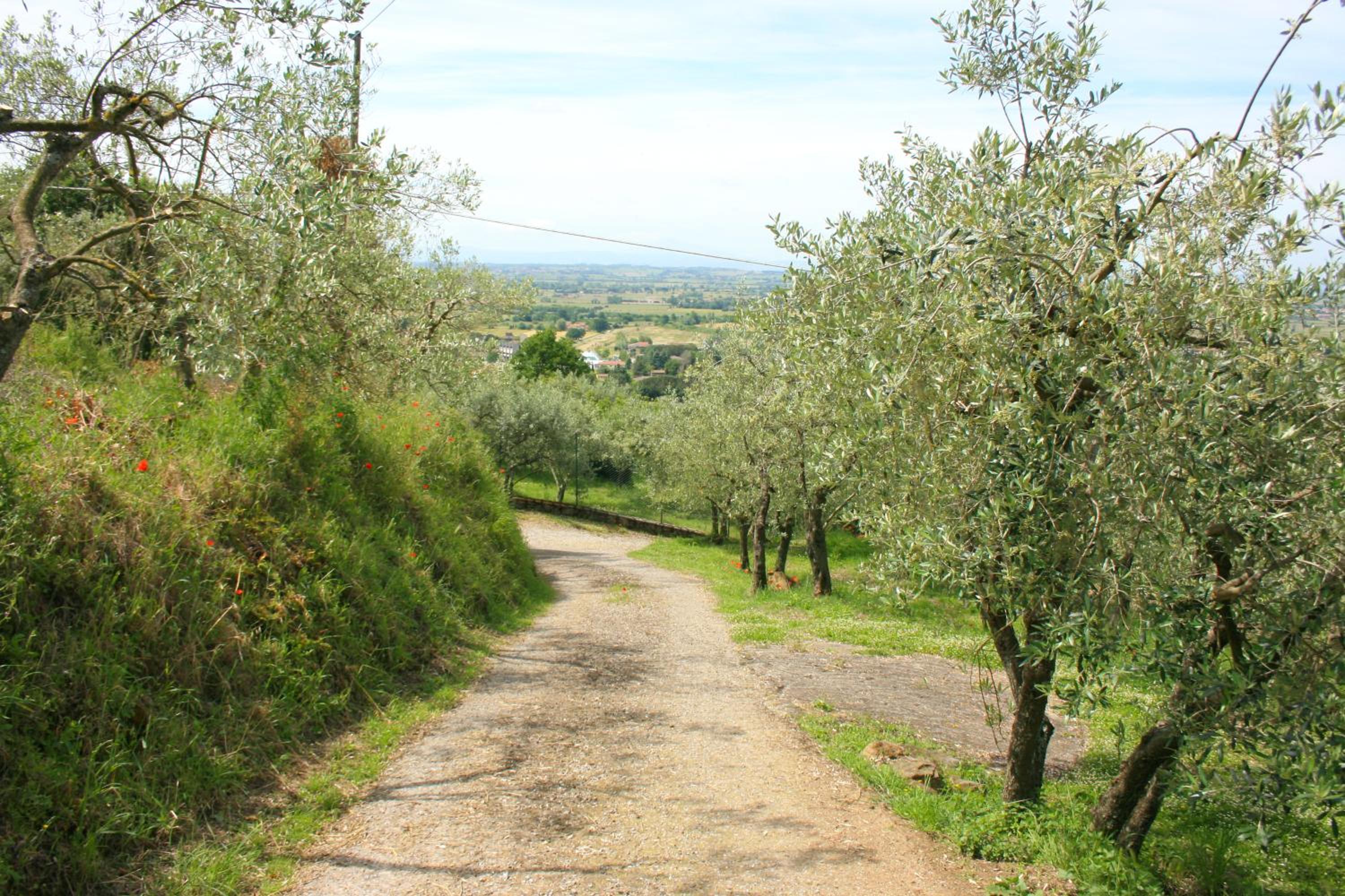 San Eusebio view 3