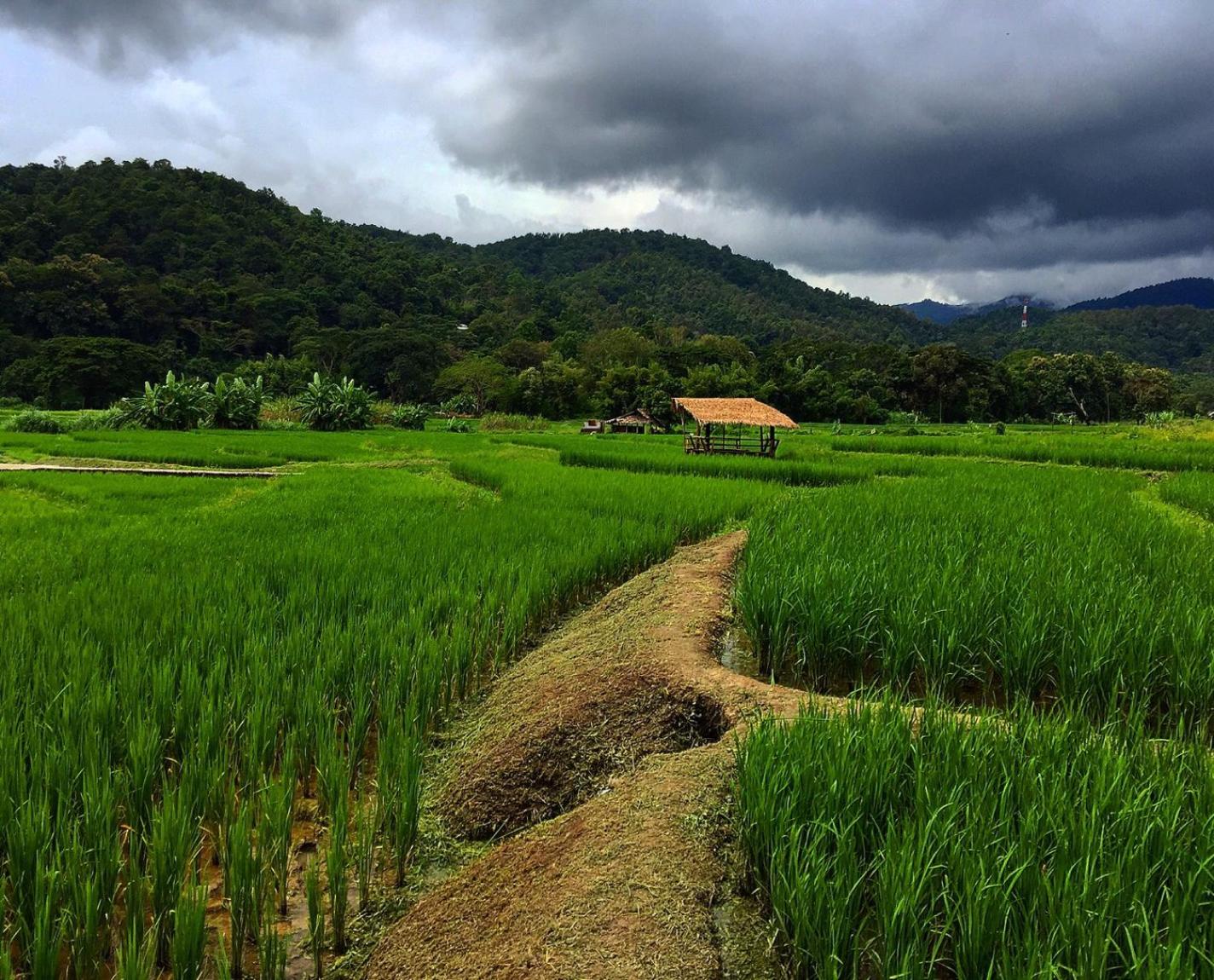 Bulunburi Resort