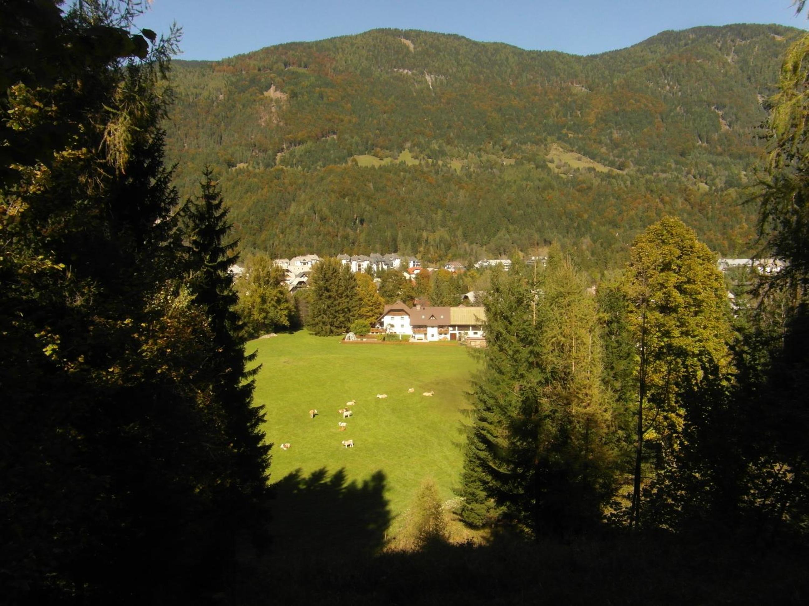 Photo 37