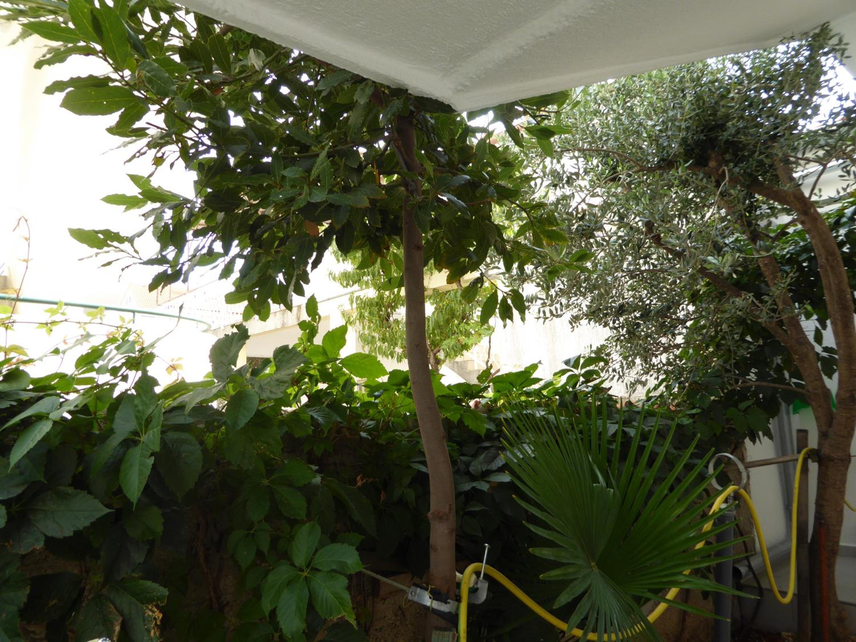 Photo 49