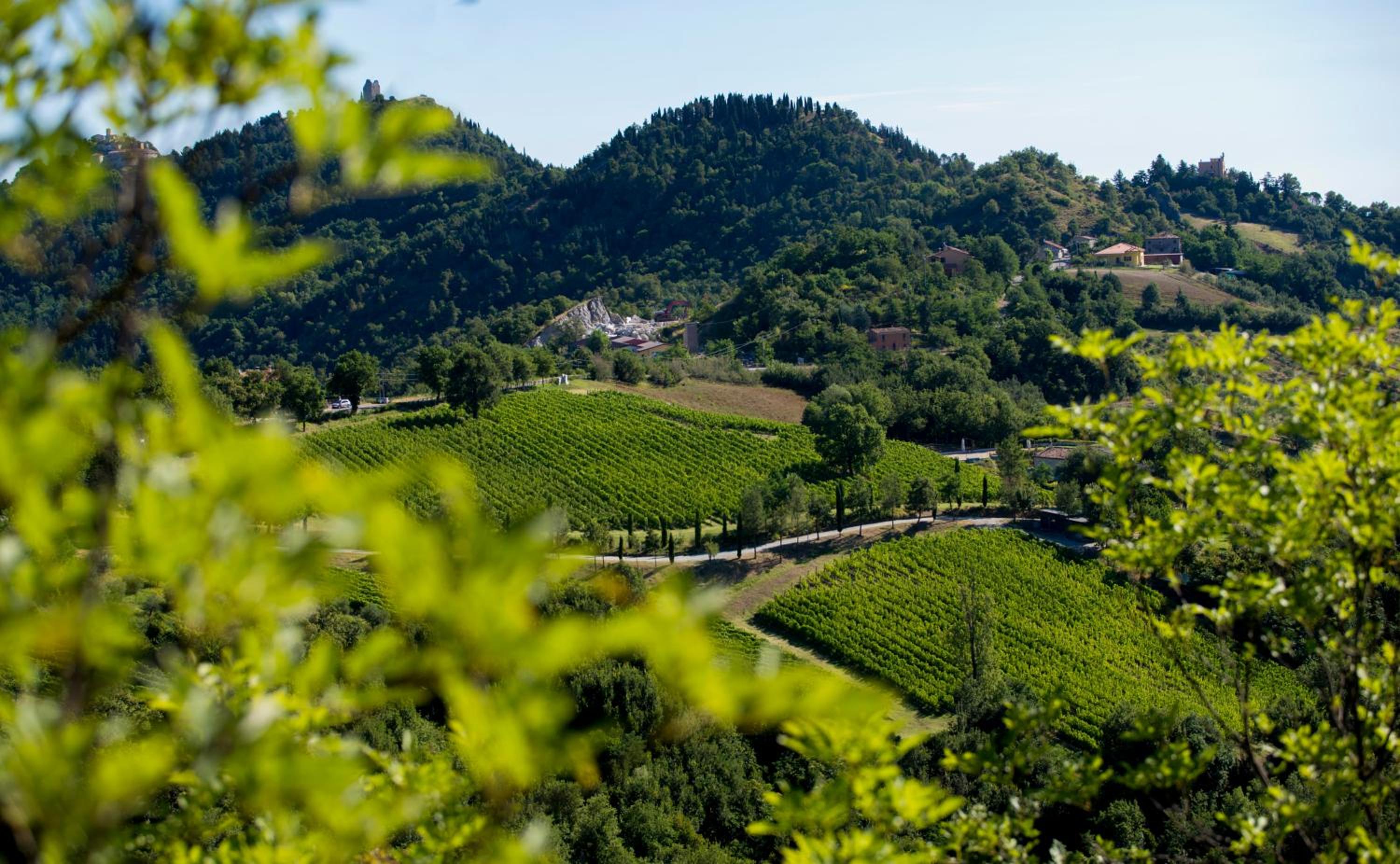 Tenuta Saiano Resort