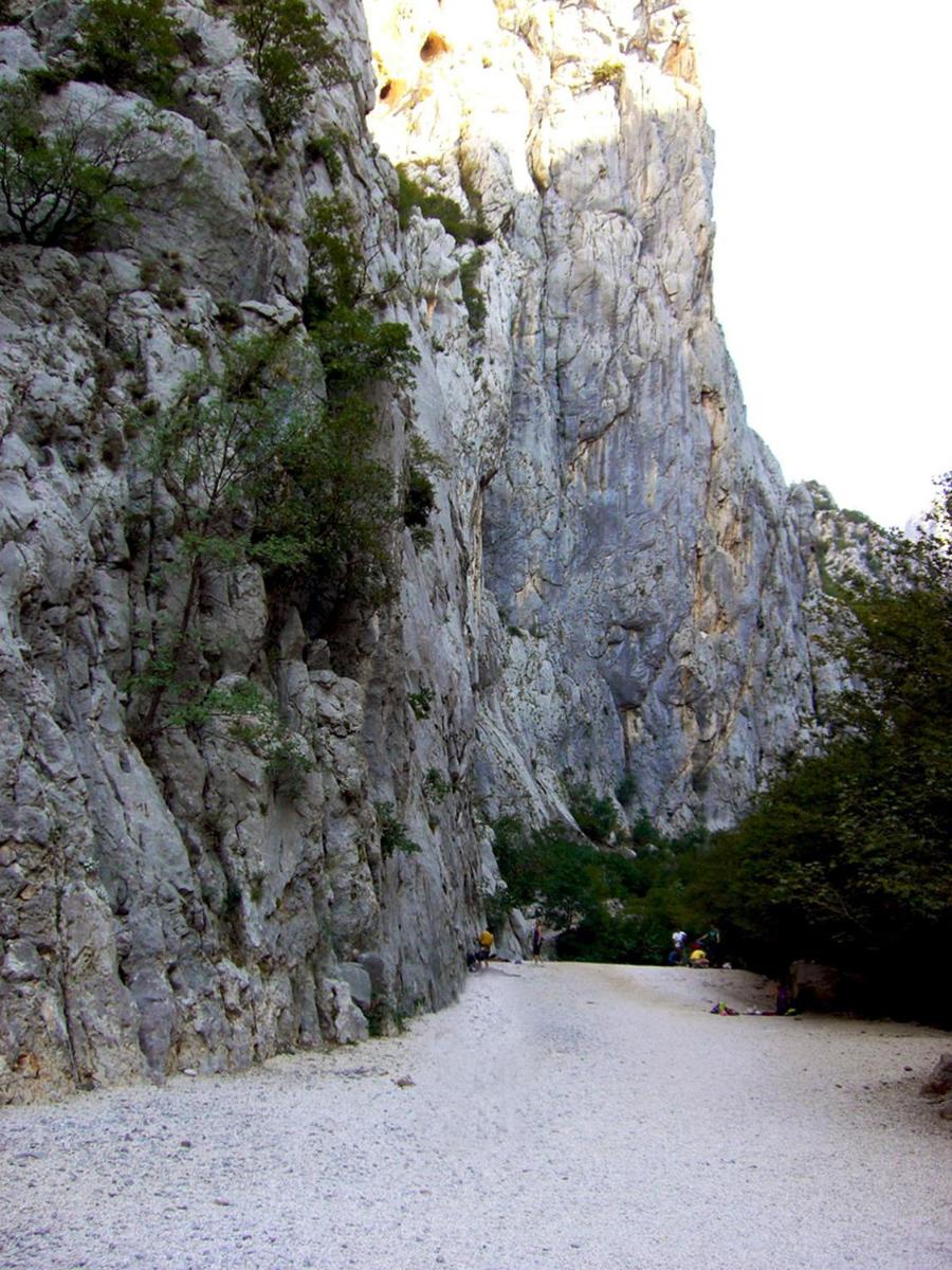 Photo 40
