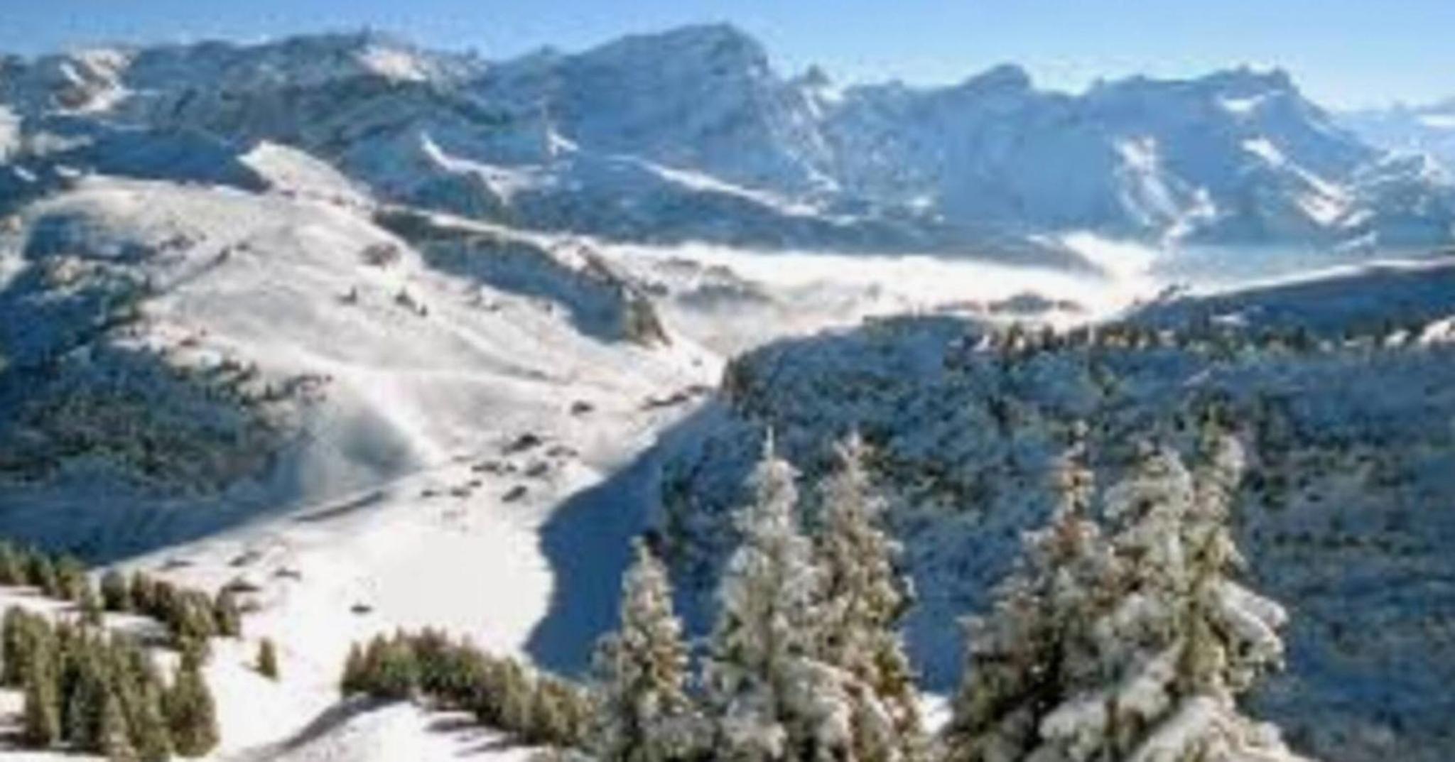 Little Chalet Piguet