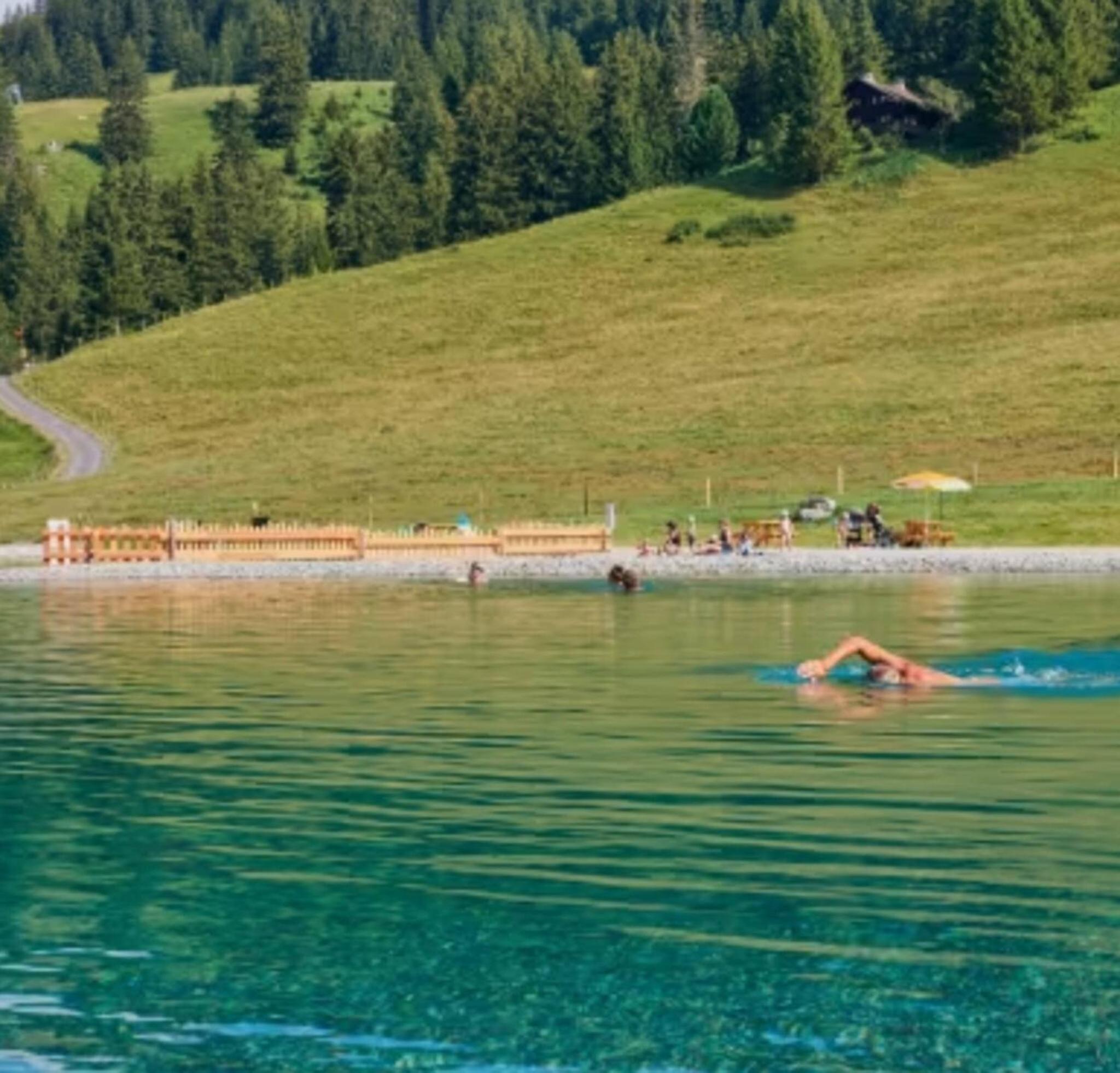Little Chalet Piguet