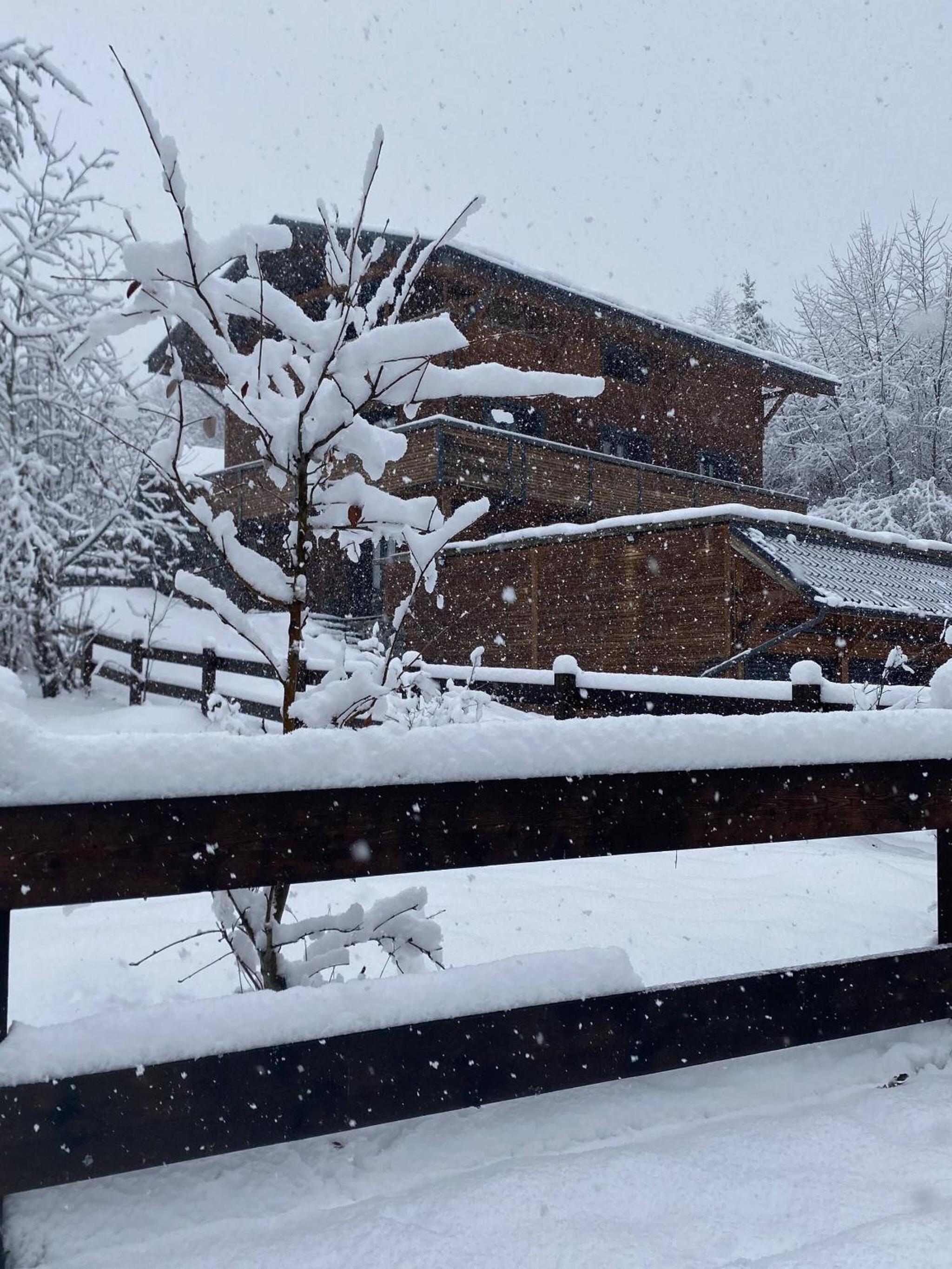 Little Chalet Piguet