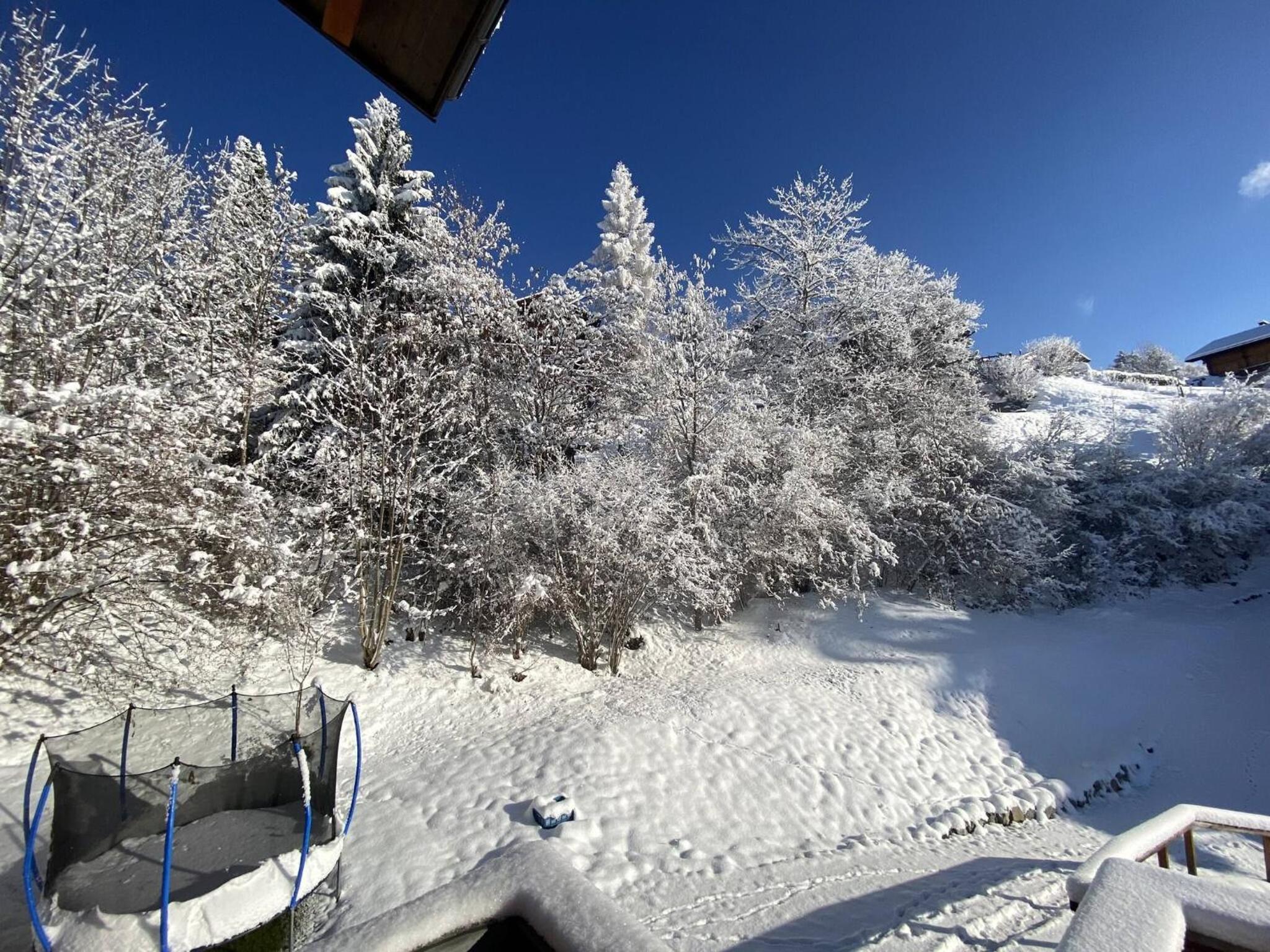 Little Chalet Piguet