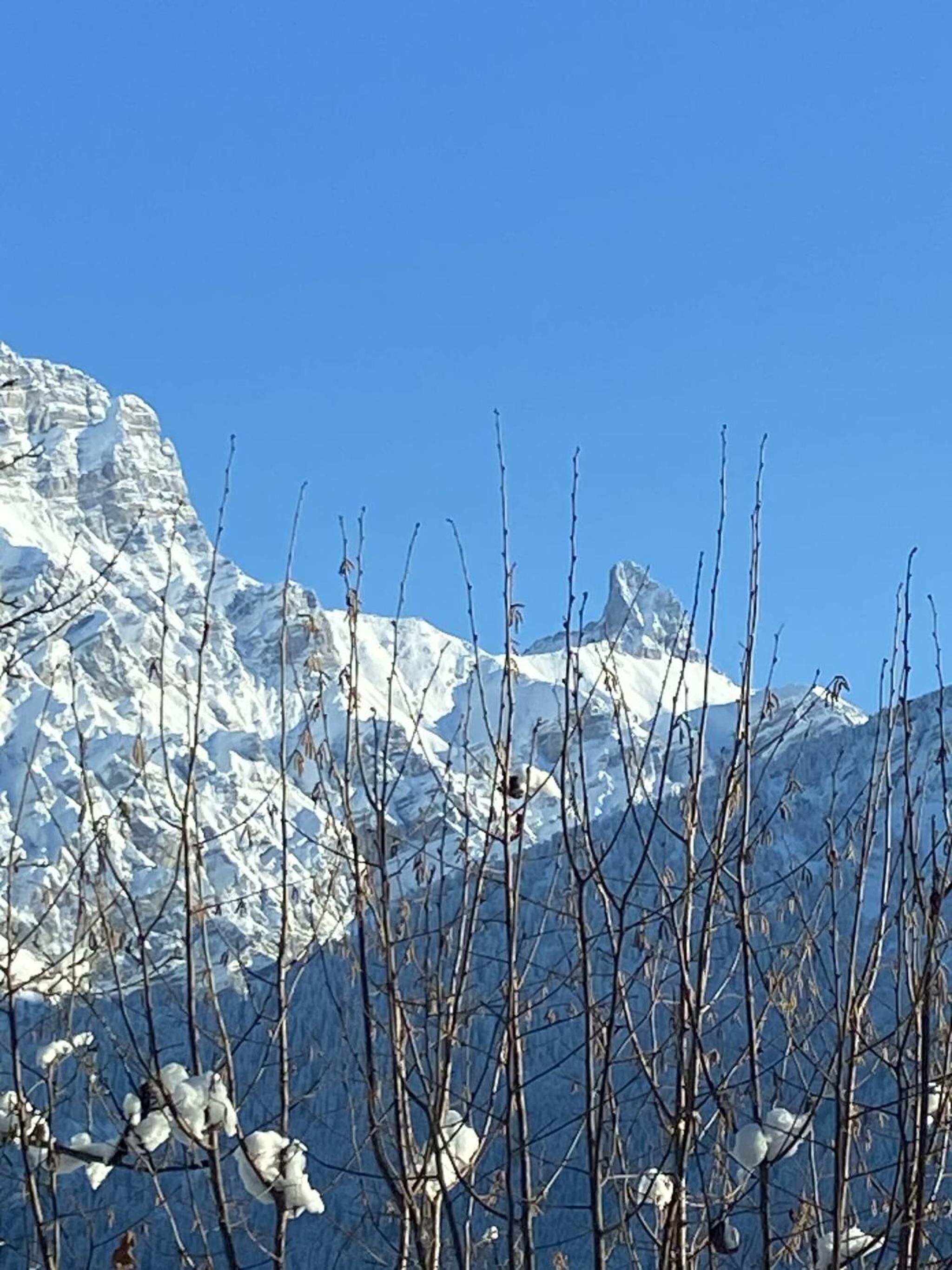 Little Chalet Piguet