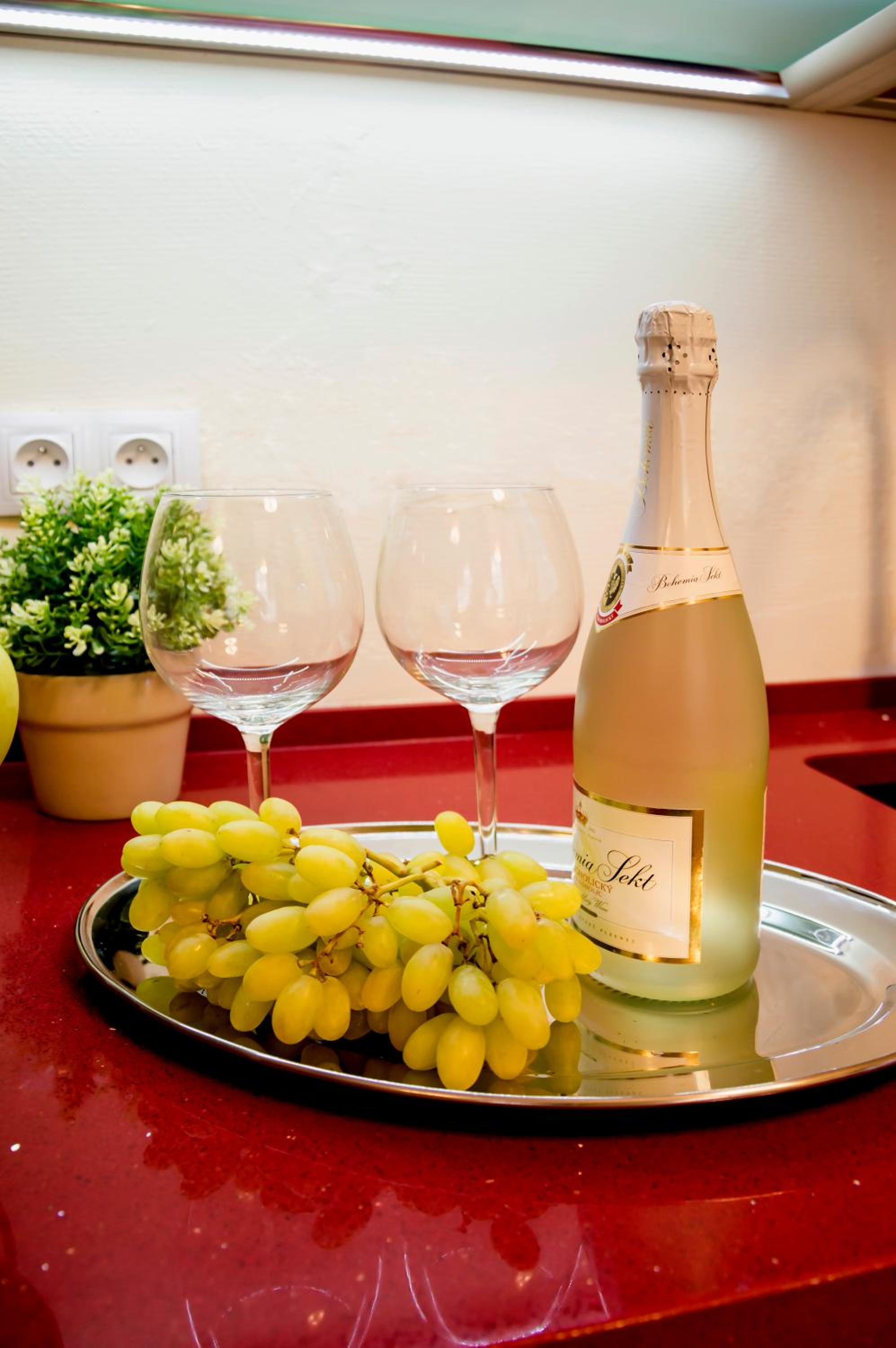 Apartment Za Poricskou branou
