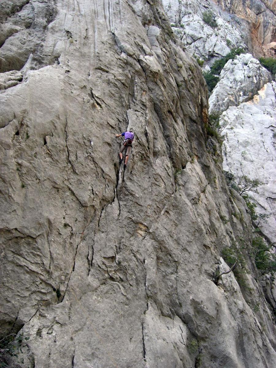 Photo 42