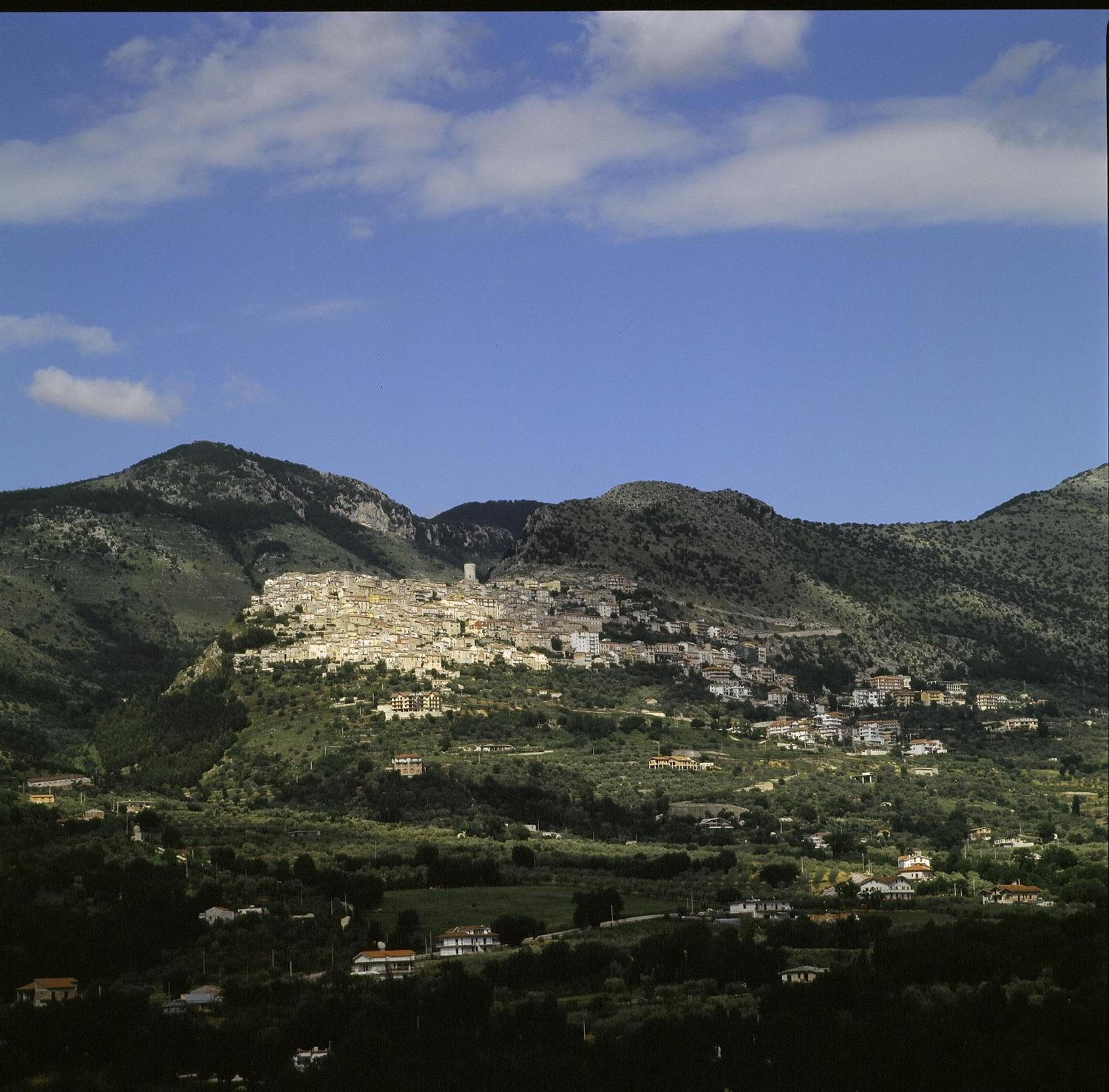 Photo 45