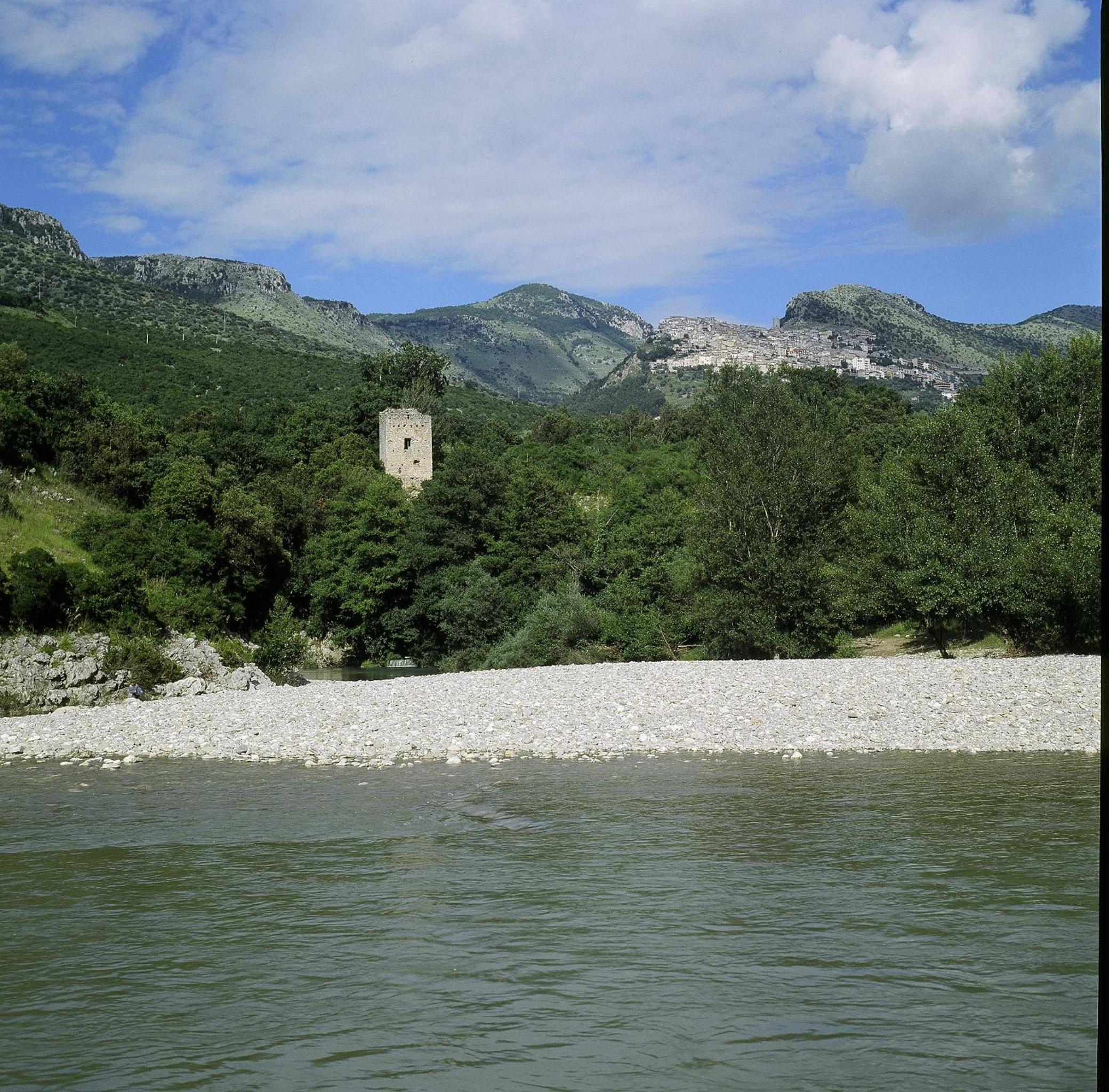 Photo 46
