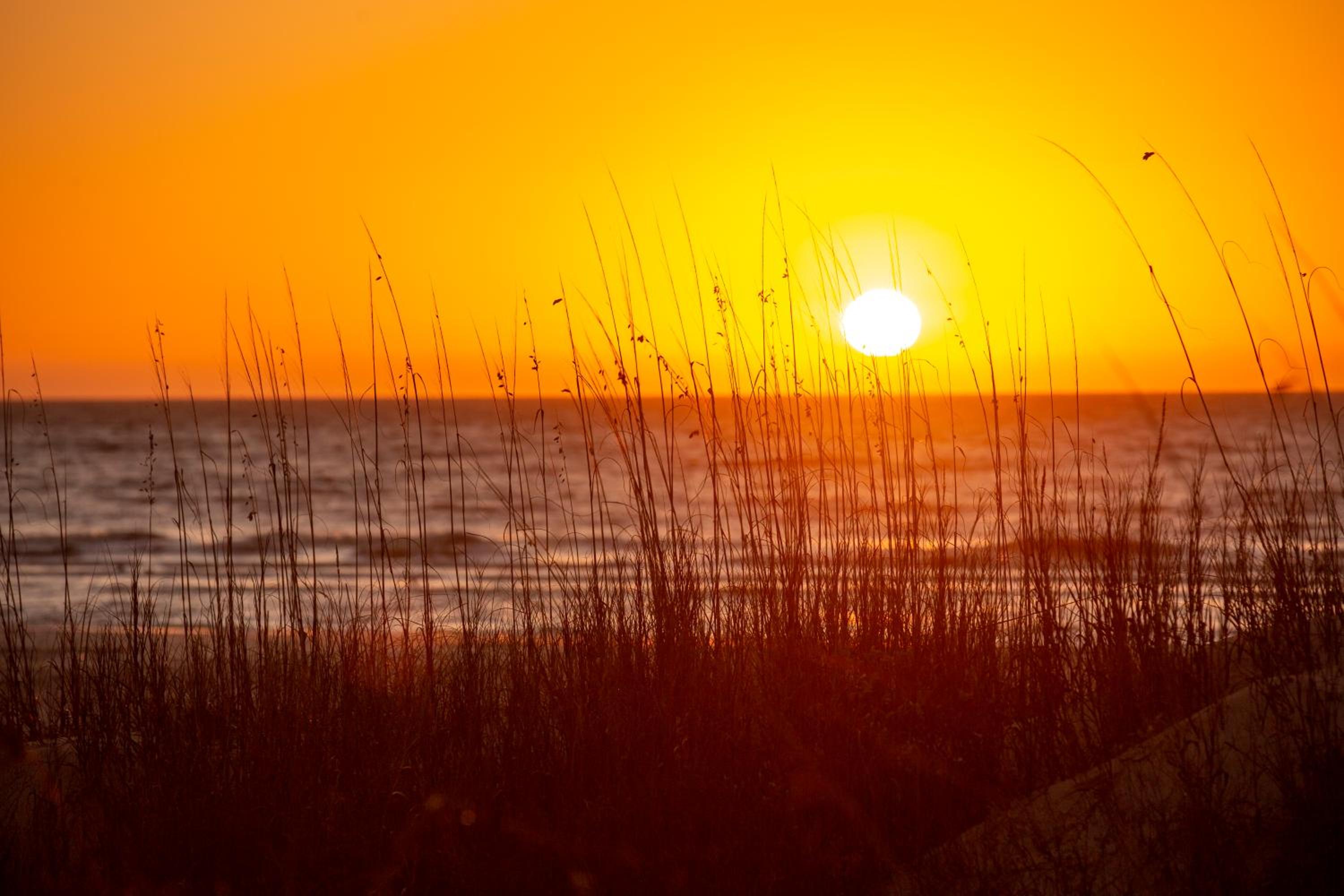 184 Twin Oaks at The Sea Pines Resort