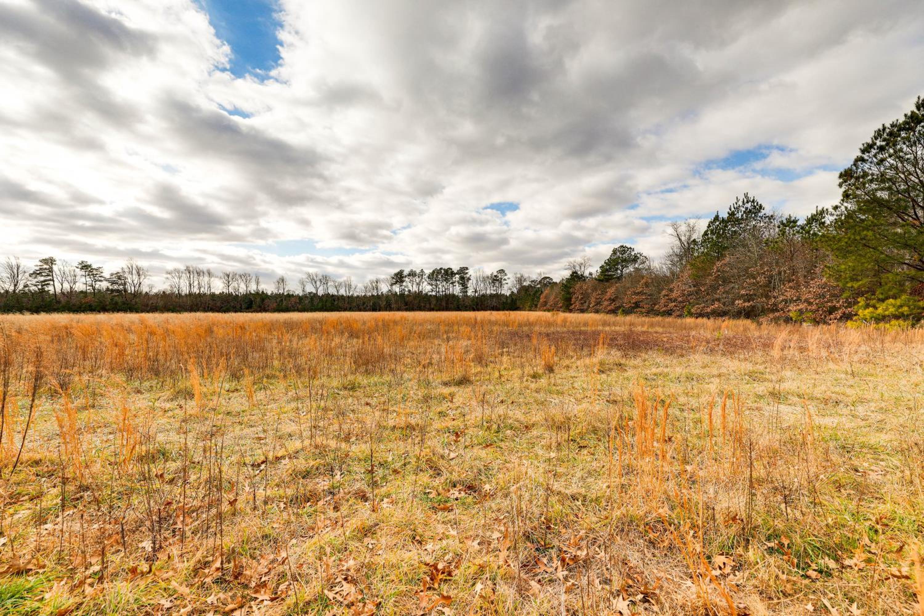 Spacious Millsboro Home on 16 Peaceful Acres