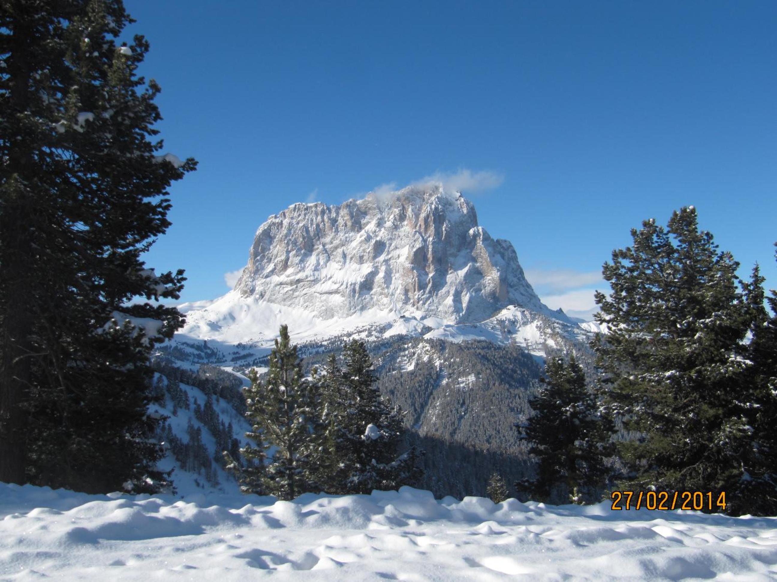 Photo 45