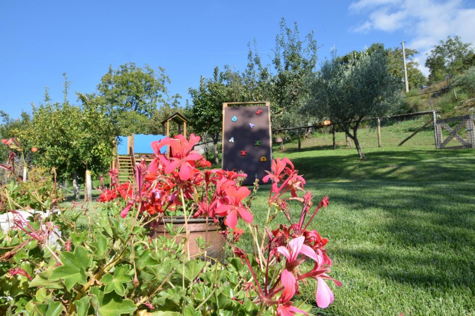 Photo 48