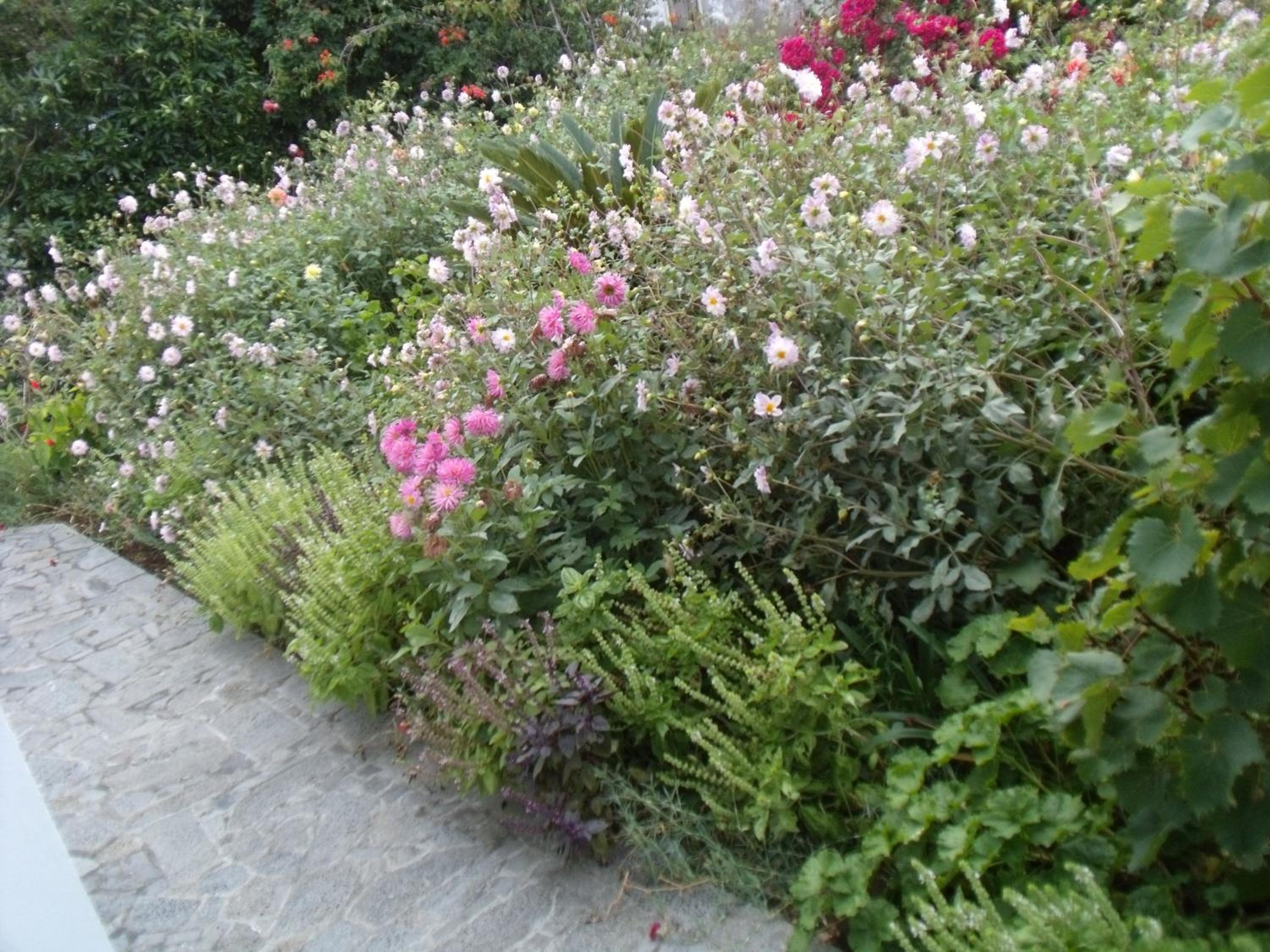 Photo 30