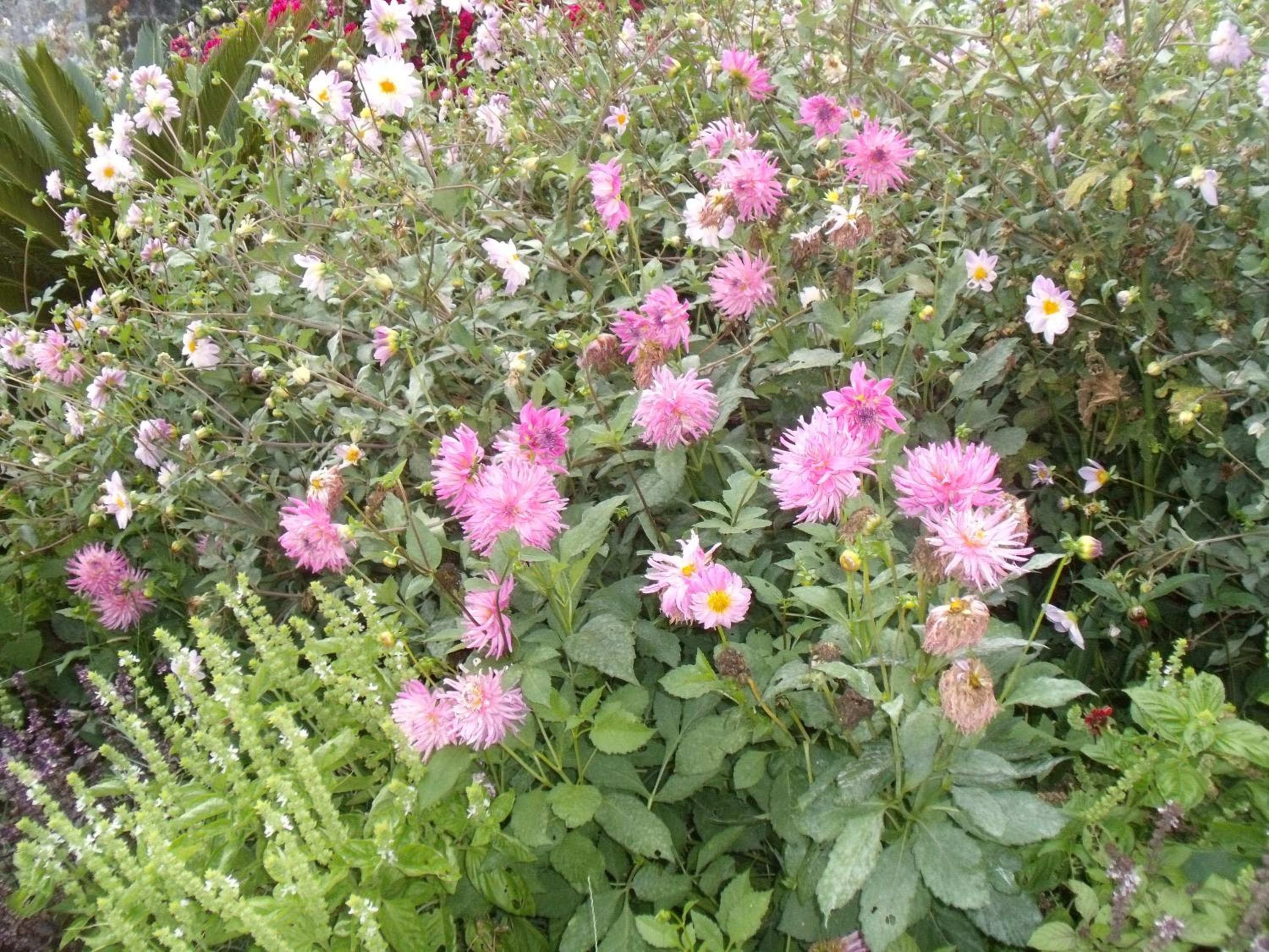 Photo 32