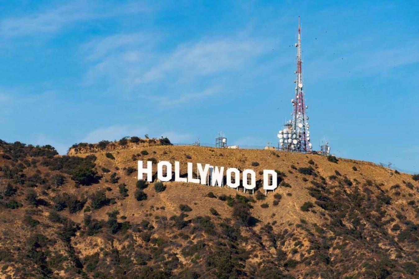 Hollywood Escape! Elegant 2BR 2BA Rental