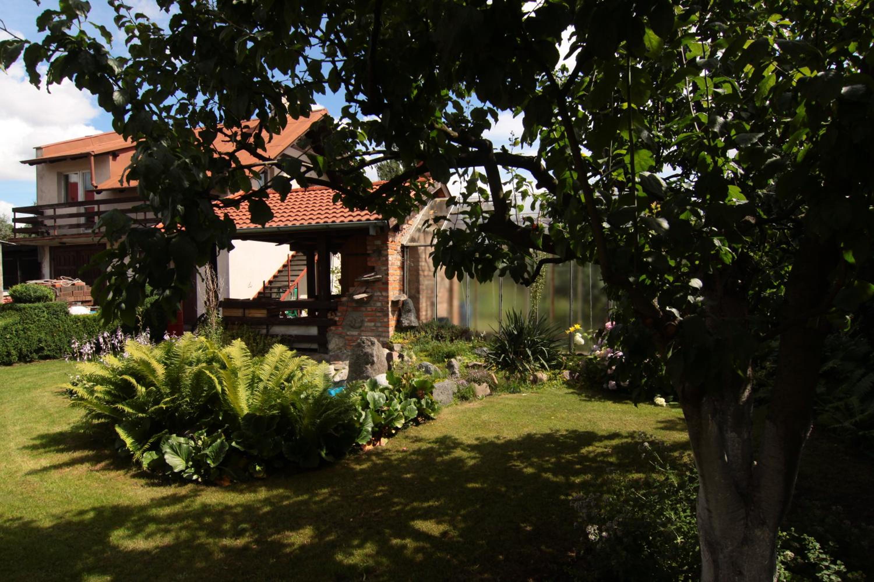 Photo 42