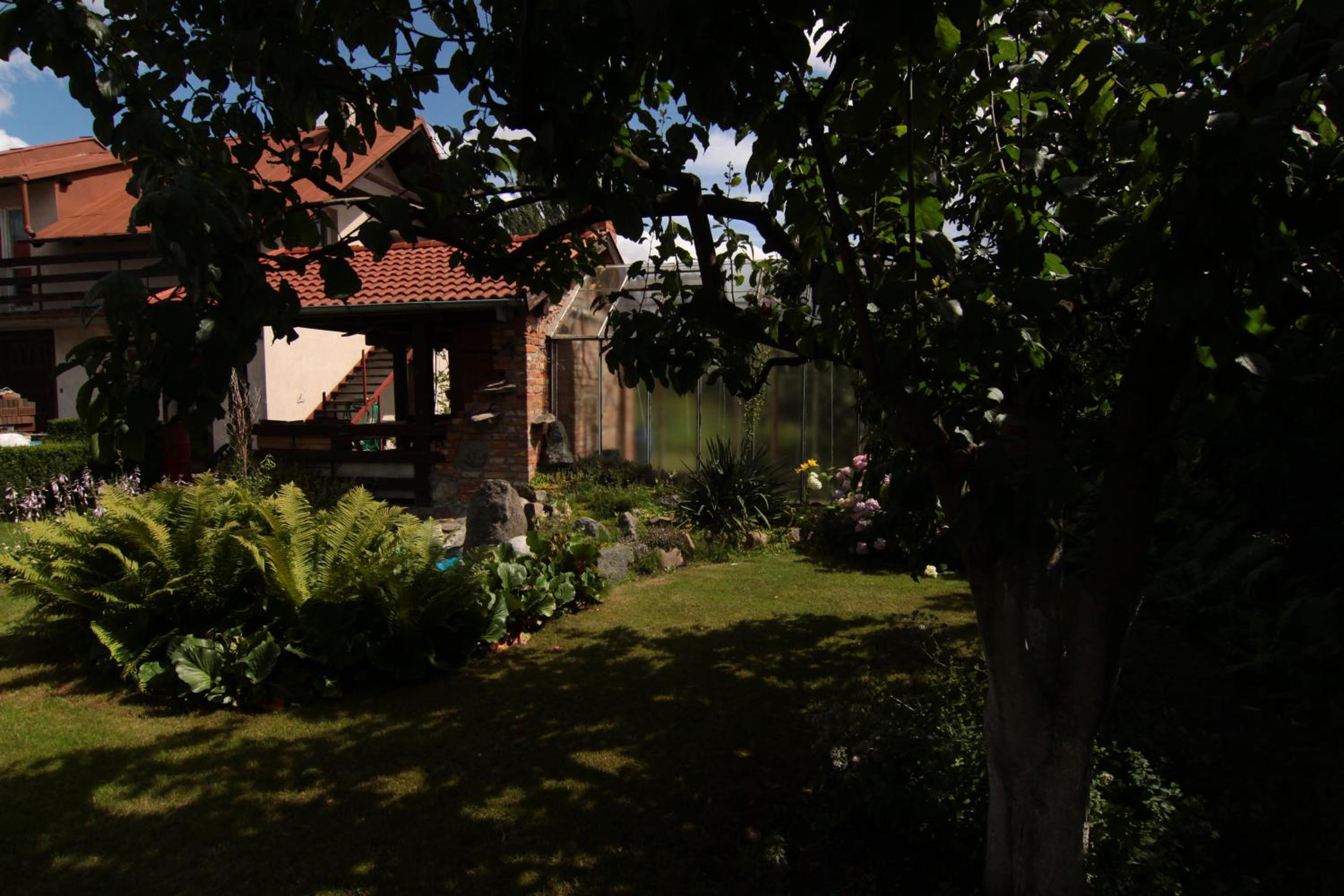 Photo 43