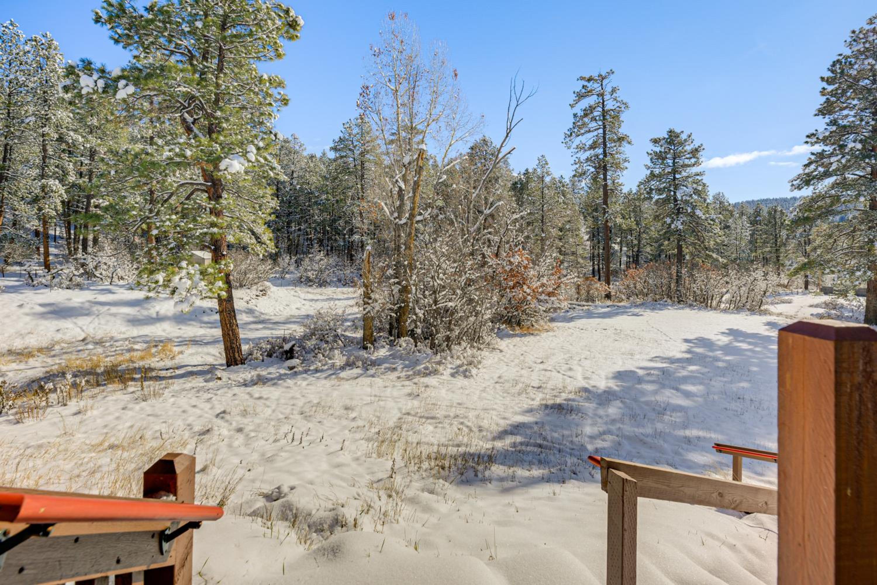 Ski, Hike and Relax Pagosa Springs Gem with Sauna!