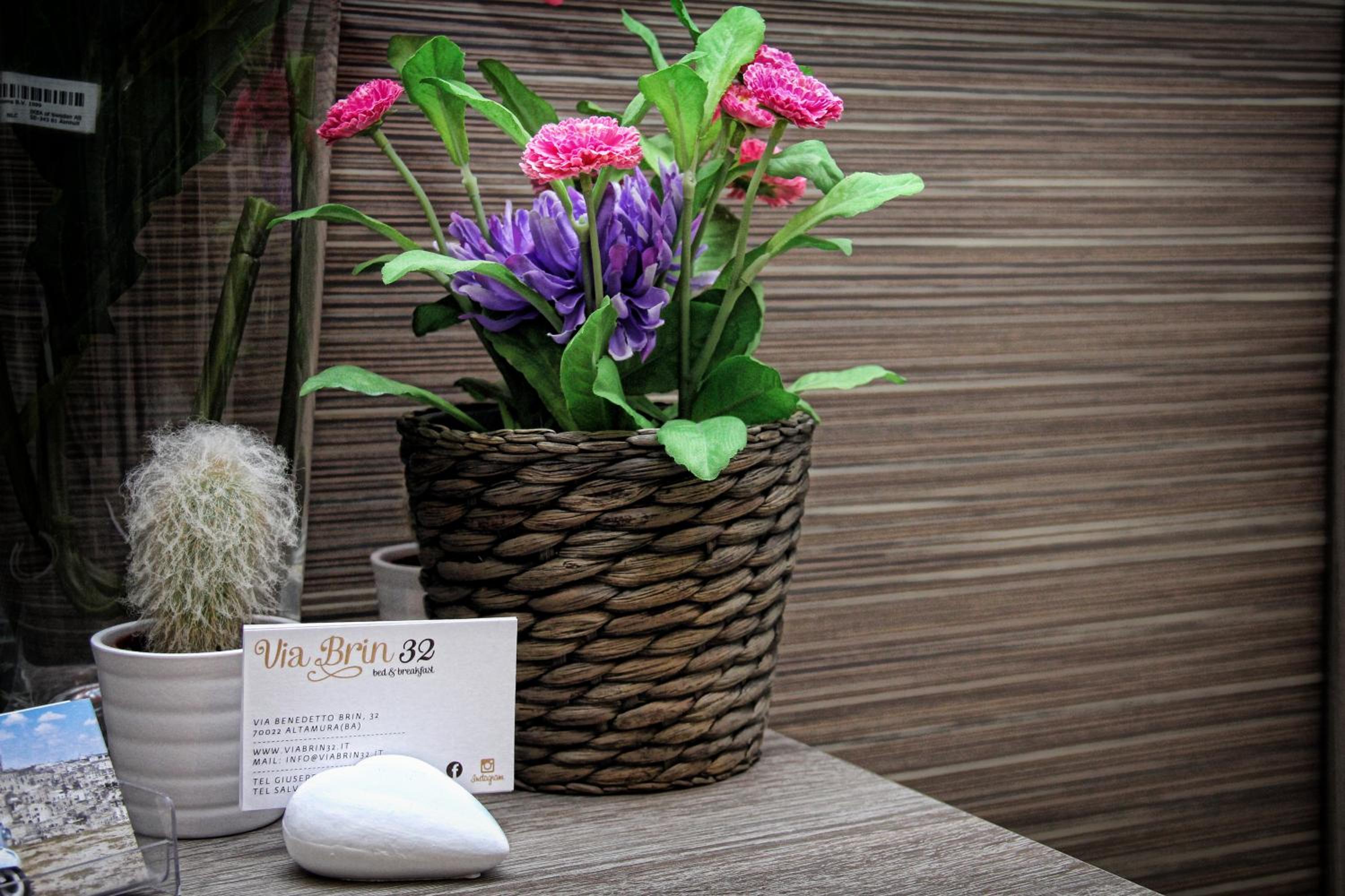 B&B ViaBrin 32 photo 3