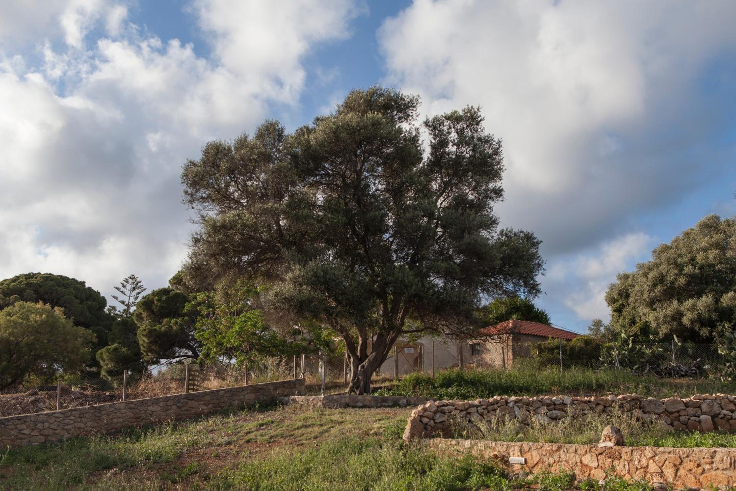 Dialiskari Villas