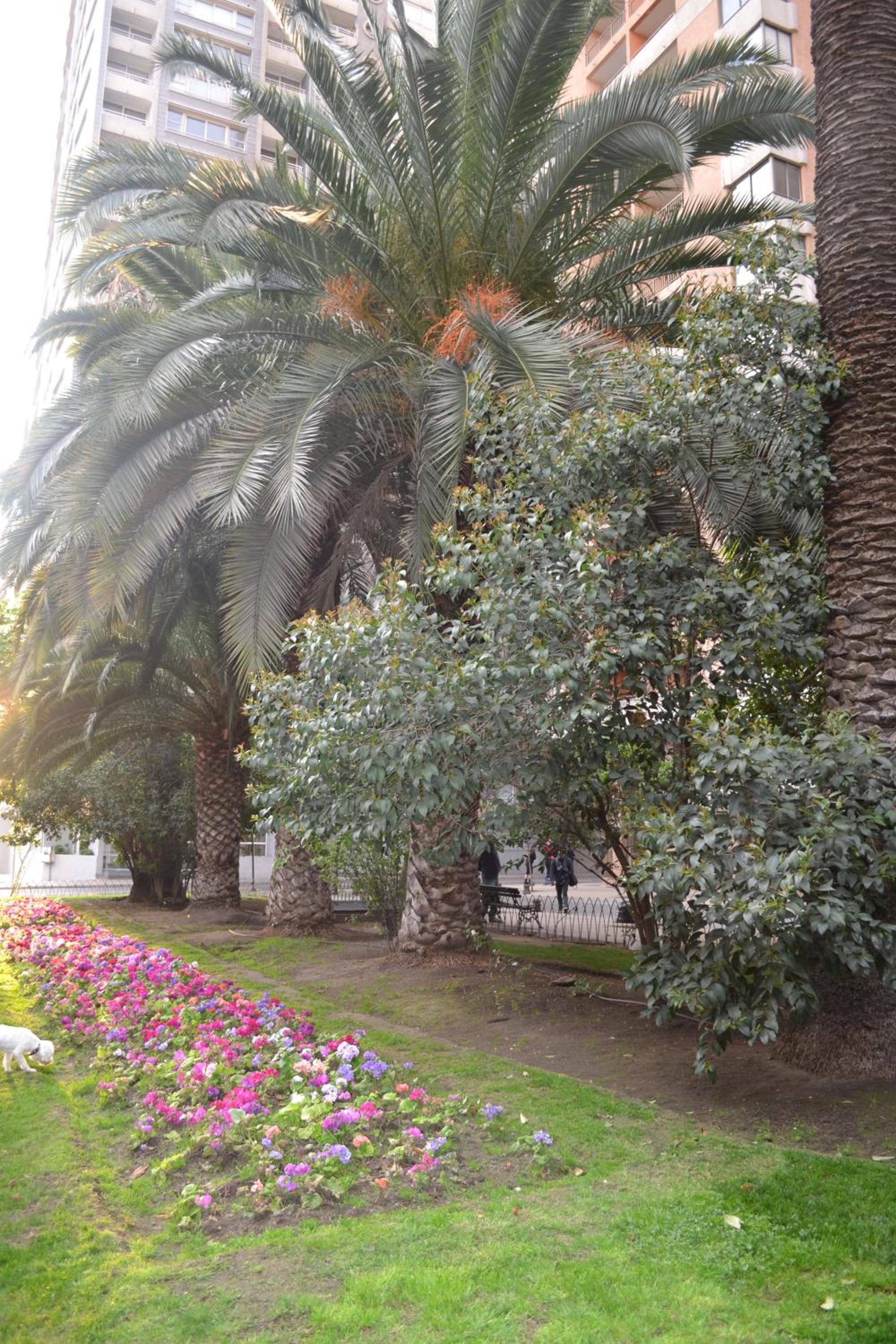 Departamento en Santiago Centro- metro- amoblado- arriendo diario- turistico- economico view 5