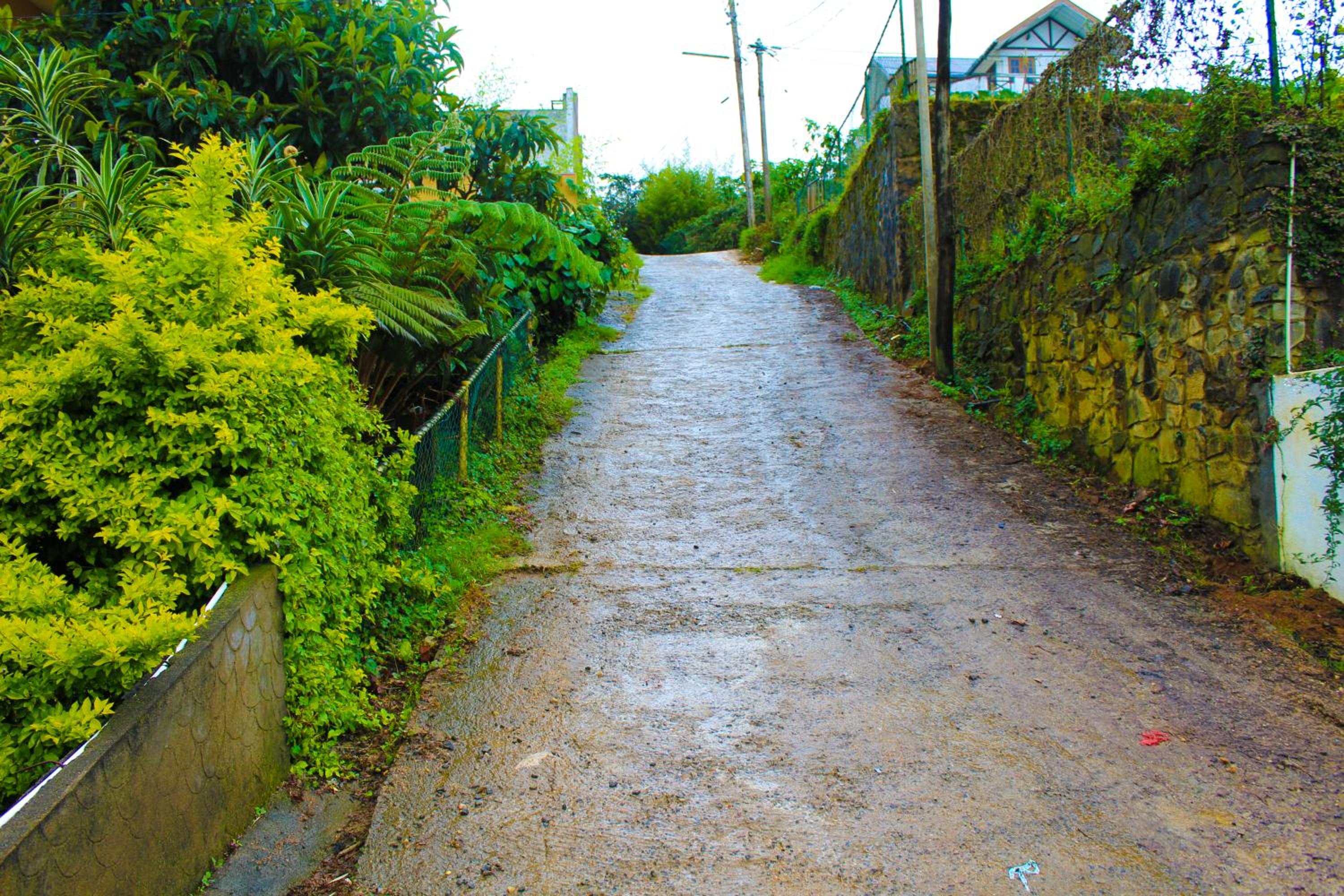Green Haven Villa & Guest House