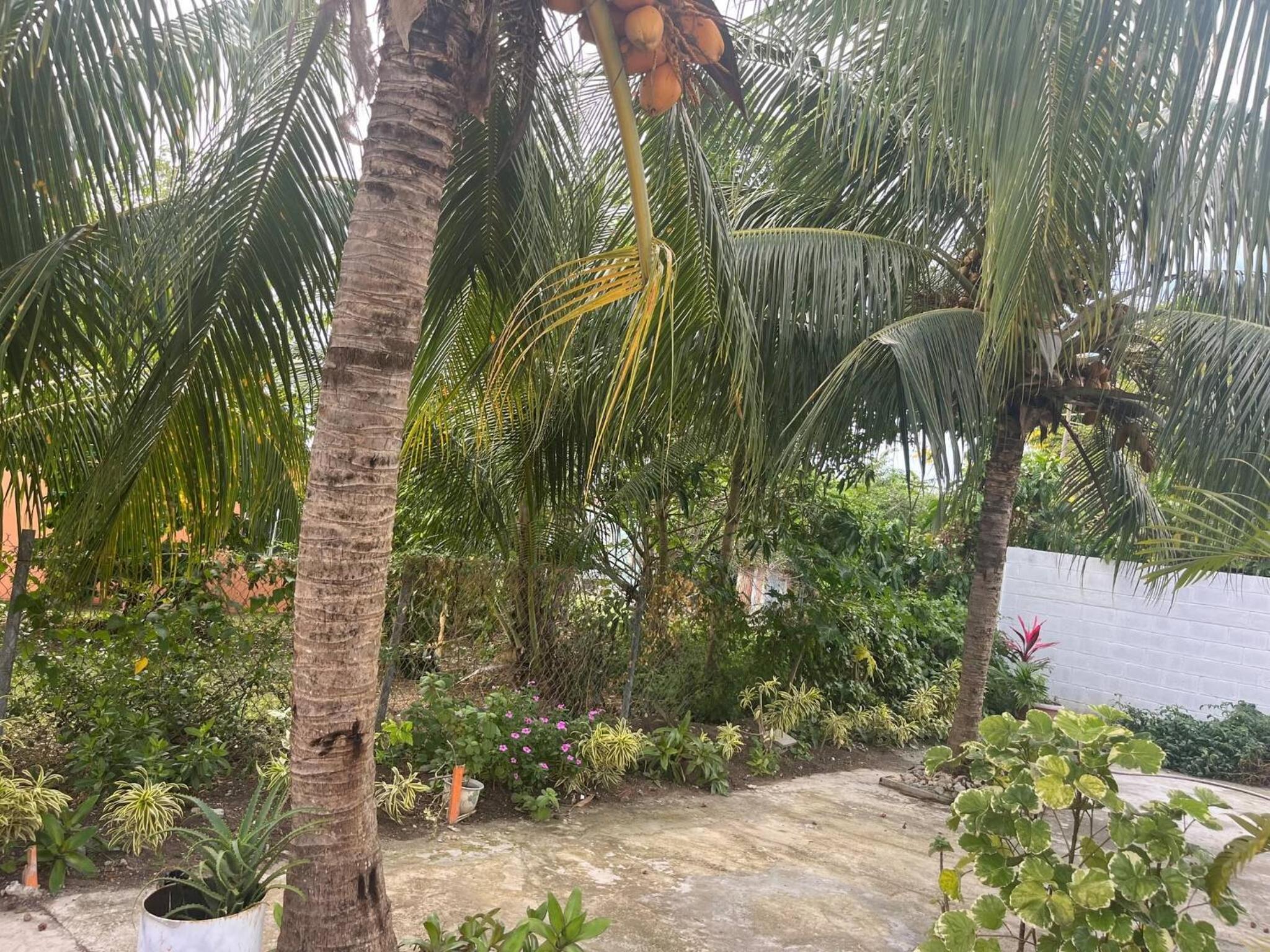 Paradis Des Palmiers 4 Gorgeous 2-bedroom flat