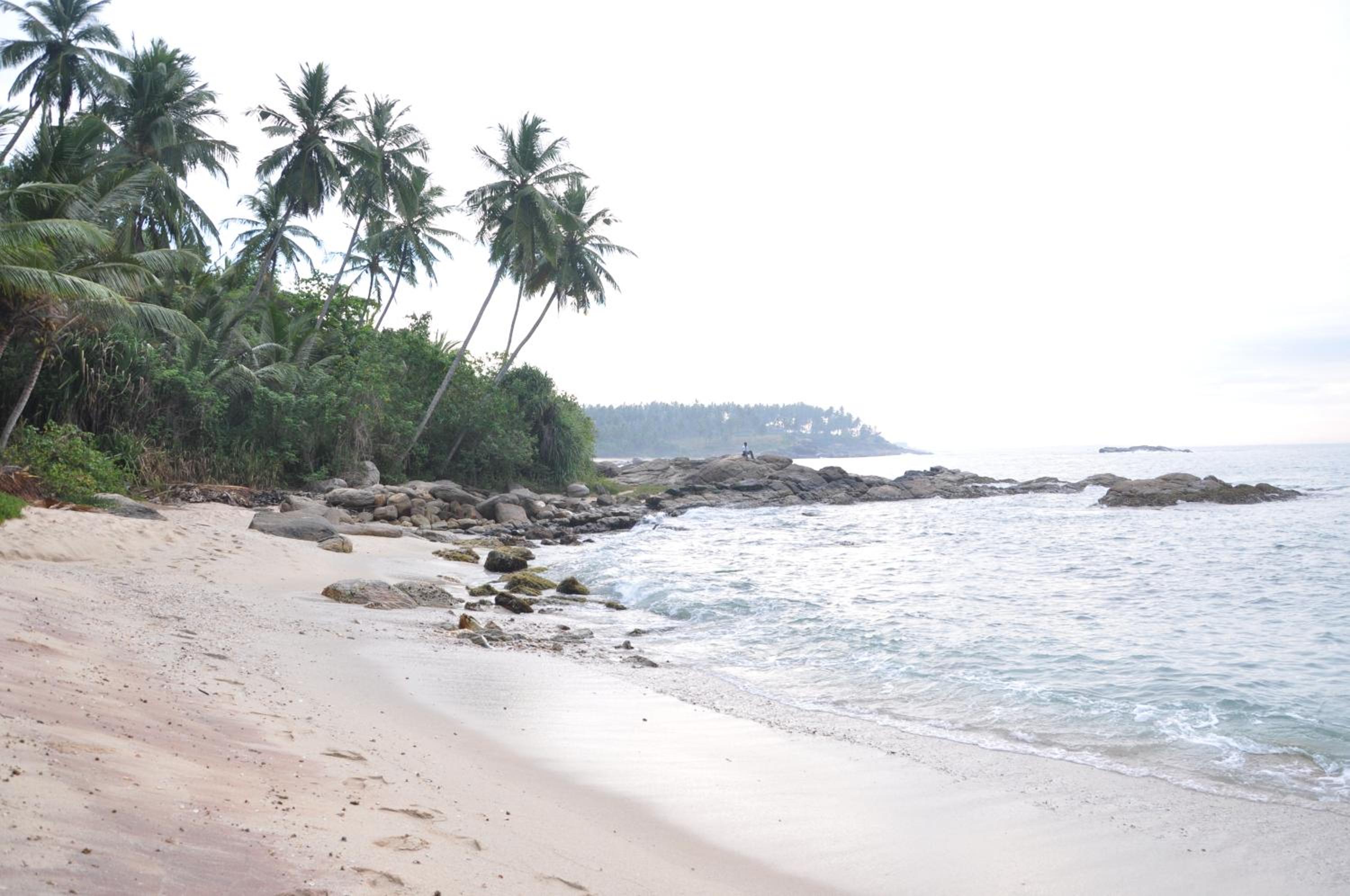 Star beach hotel