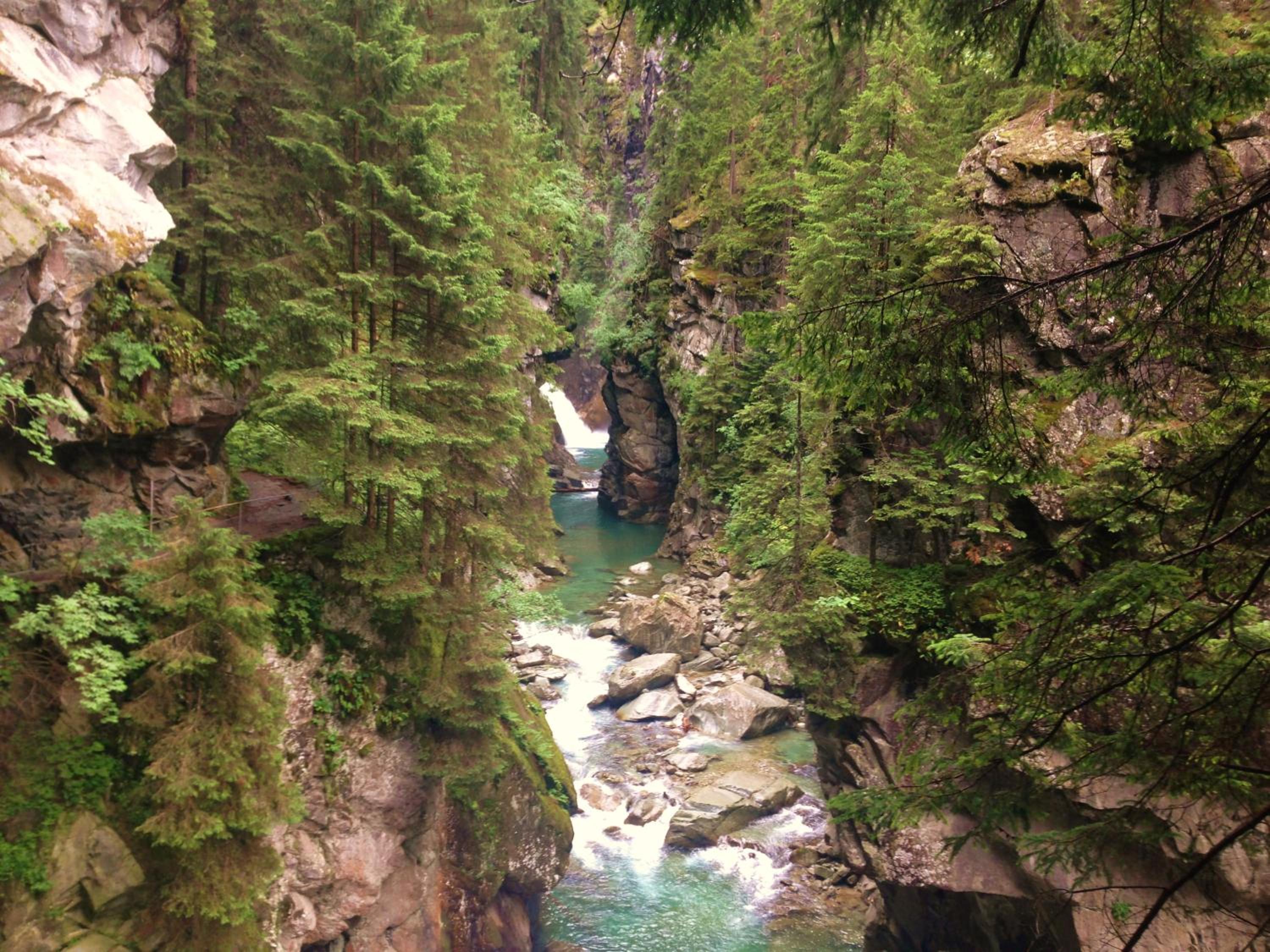 Chalet Nidus Montis view 4
